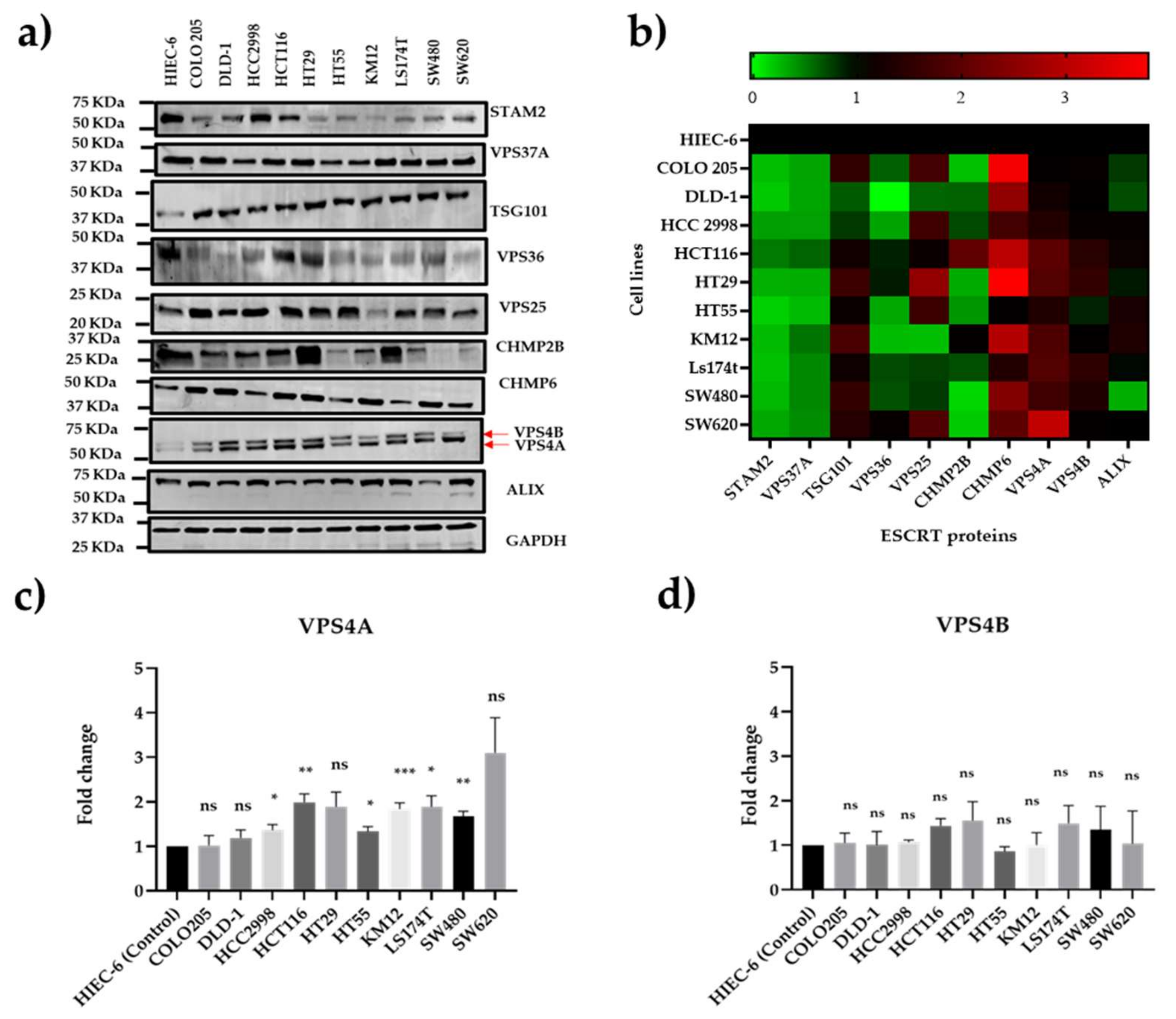 Preprints 159772 g001