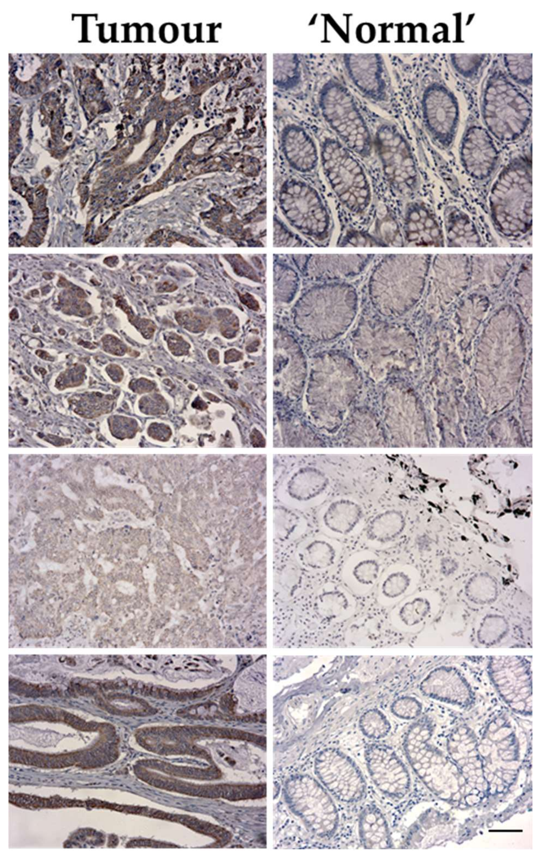 Preprints 159772 g002