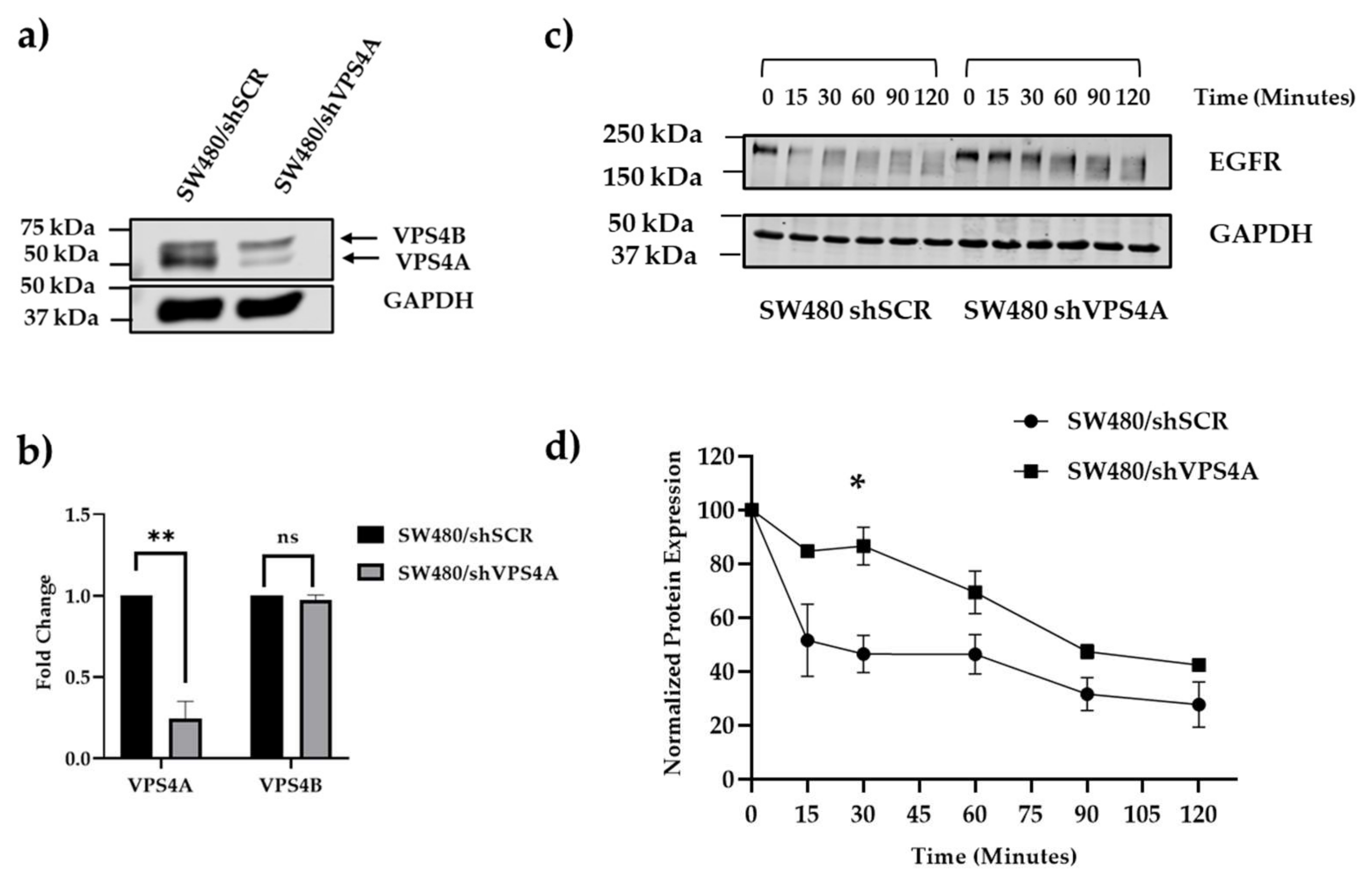 Preprints 159772 g003