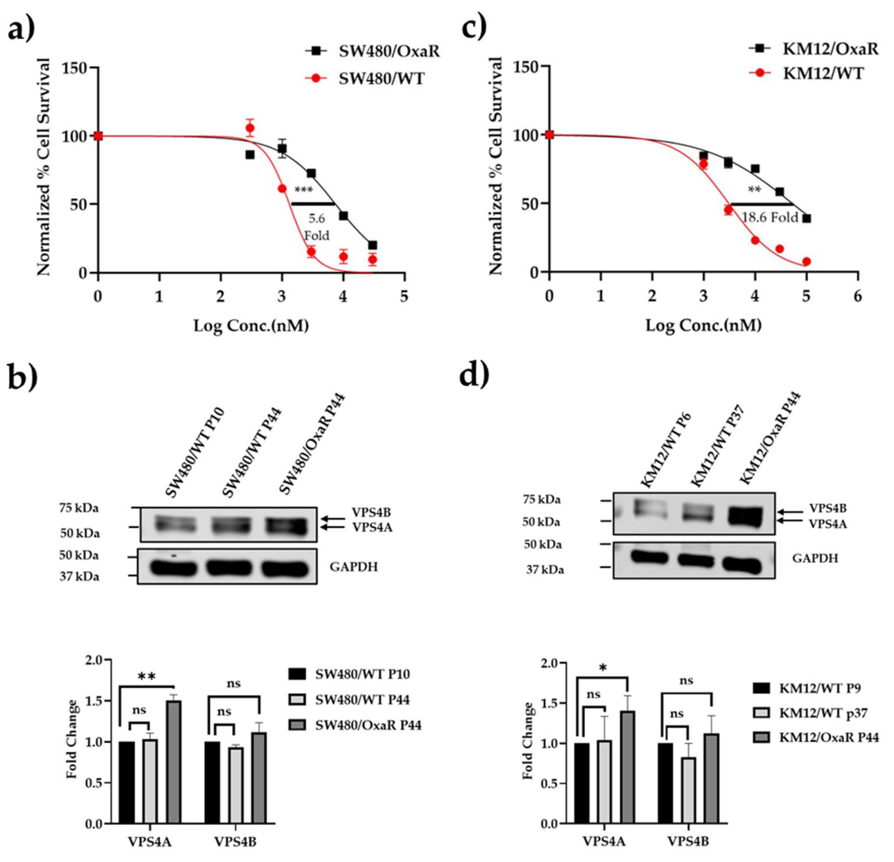 Preprints 159772 g004