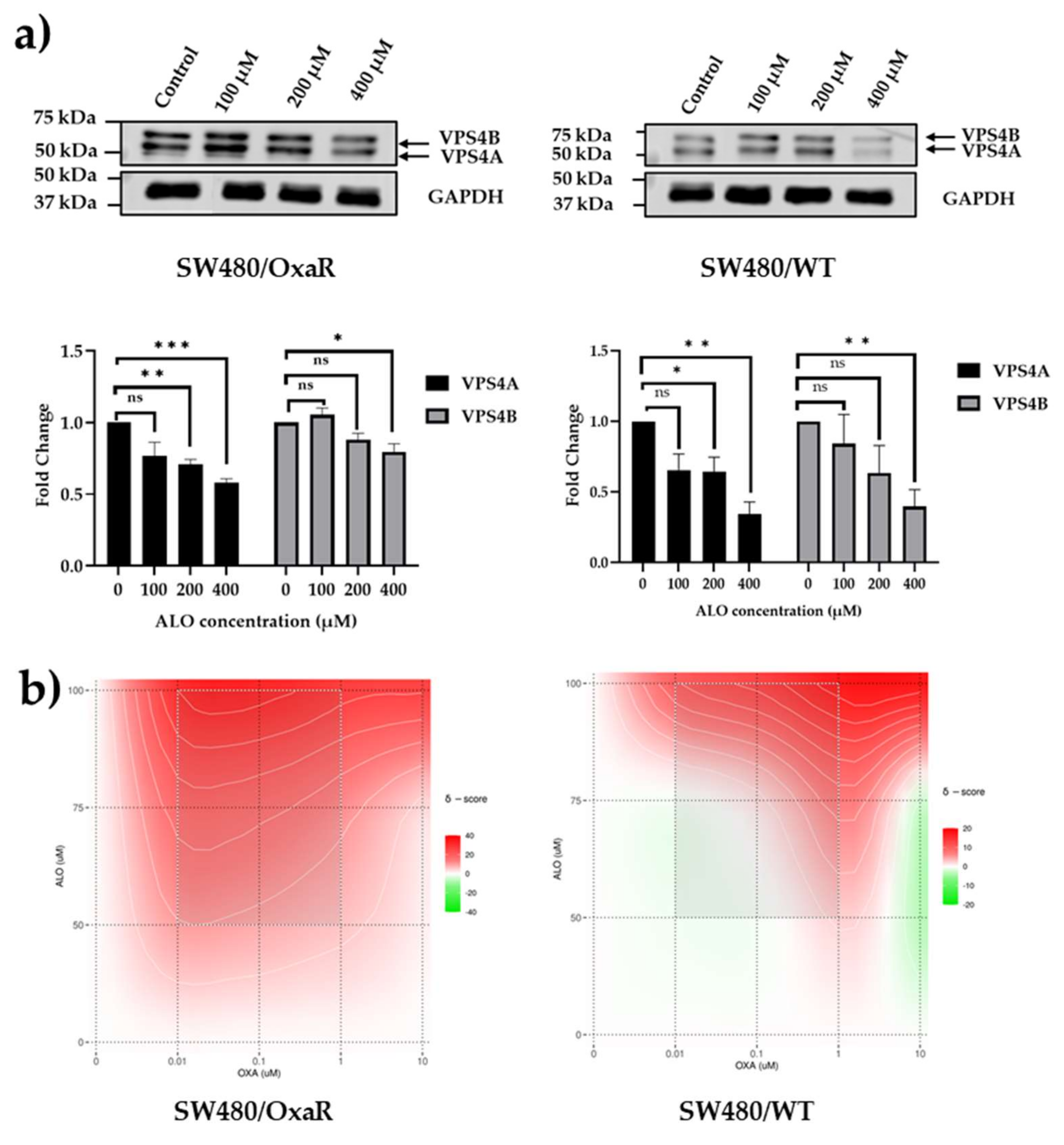 Preprints 159772 g005