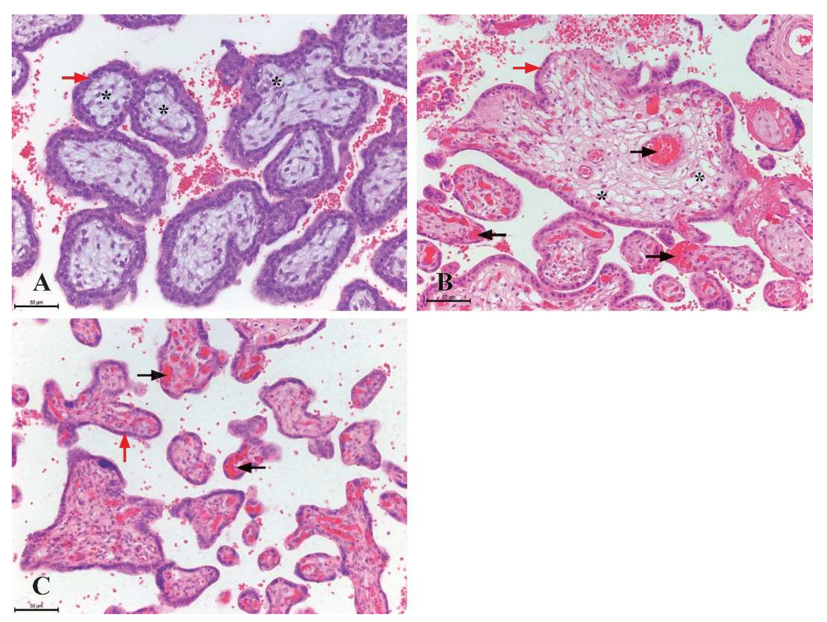 Preprints 151111 g001