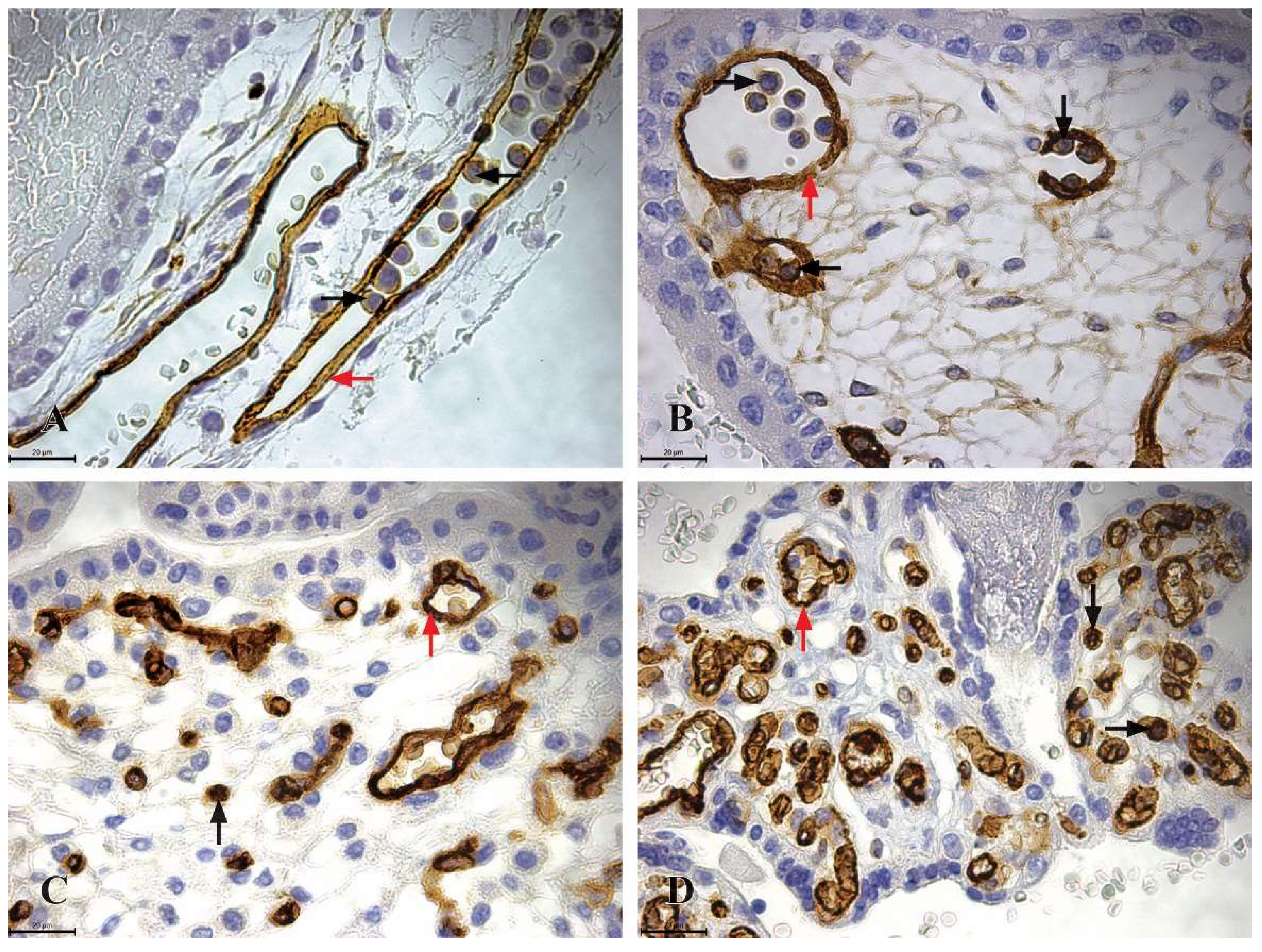 Preprints 151111 g002