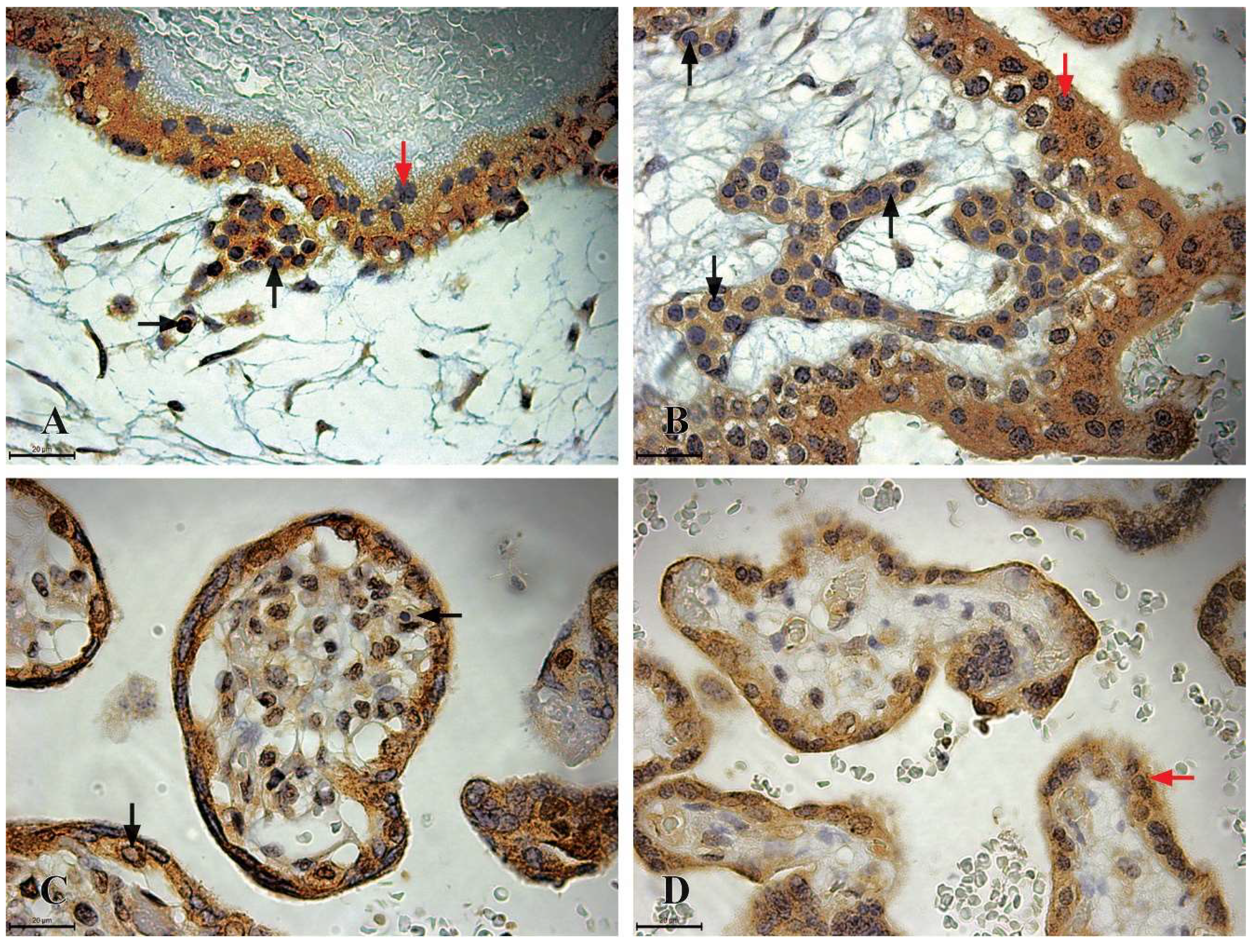 Preprints 151111 g003