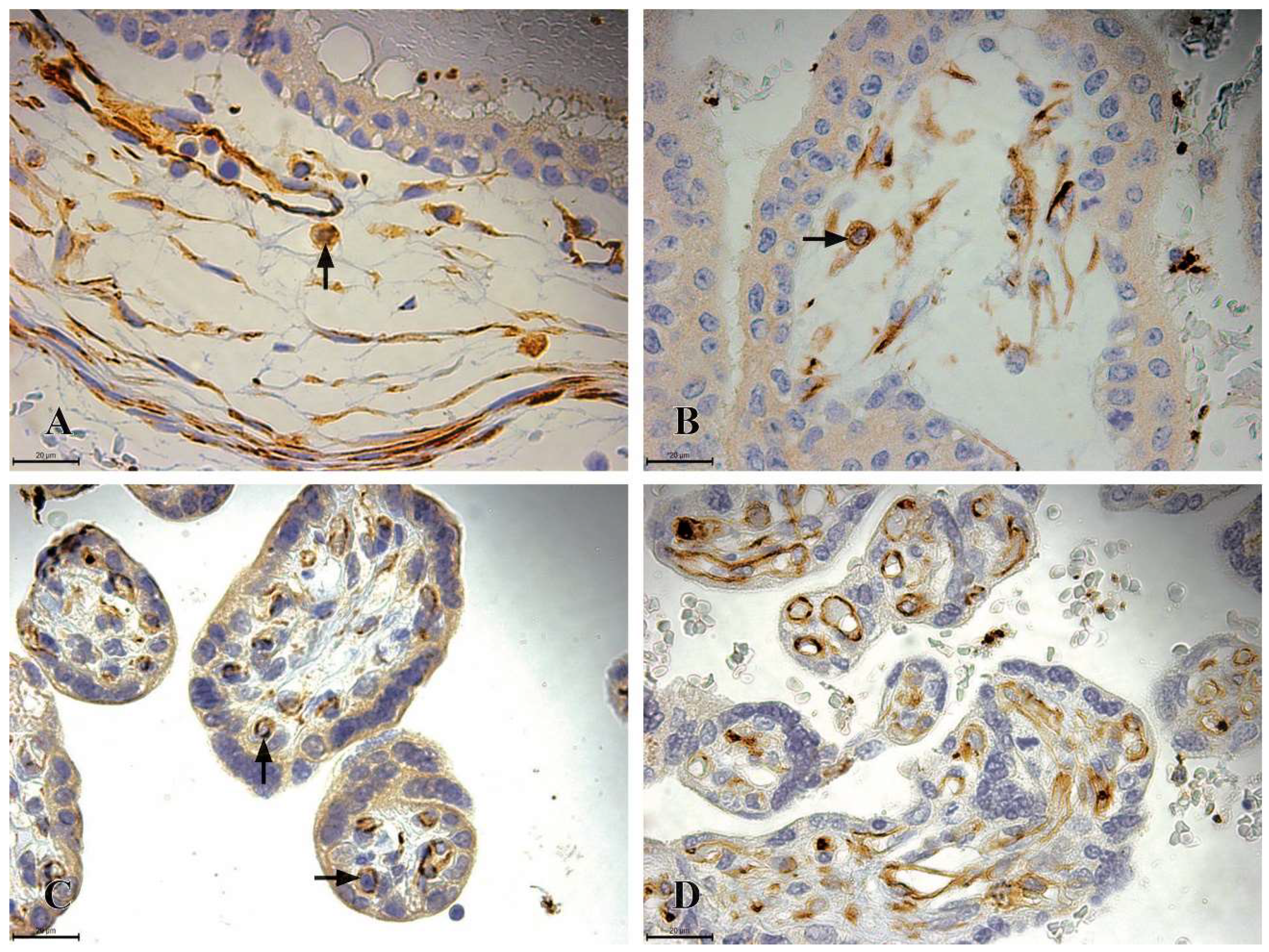 Preprints 151111 g004