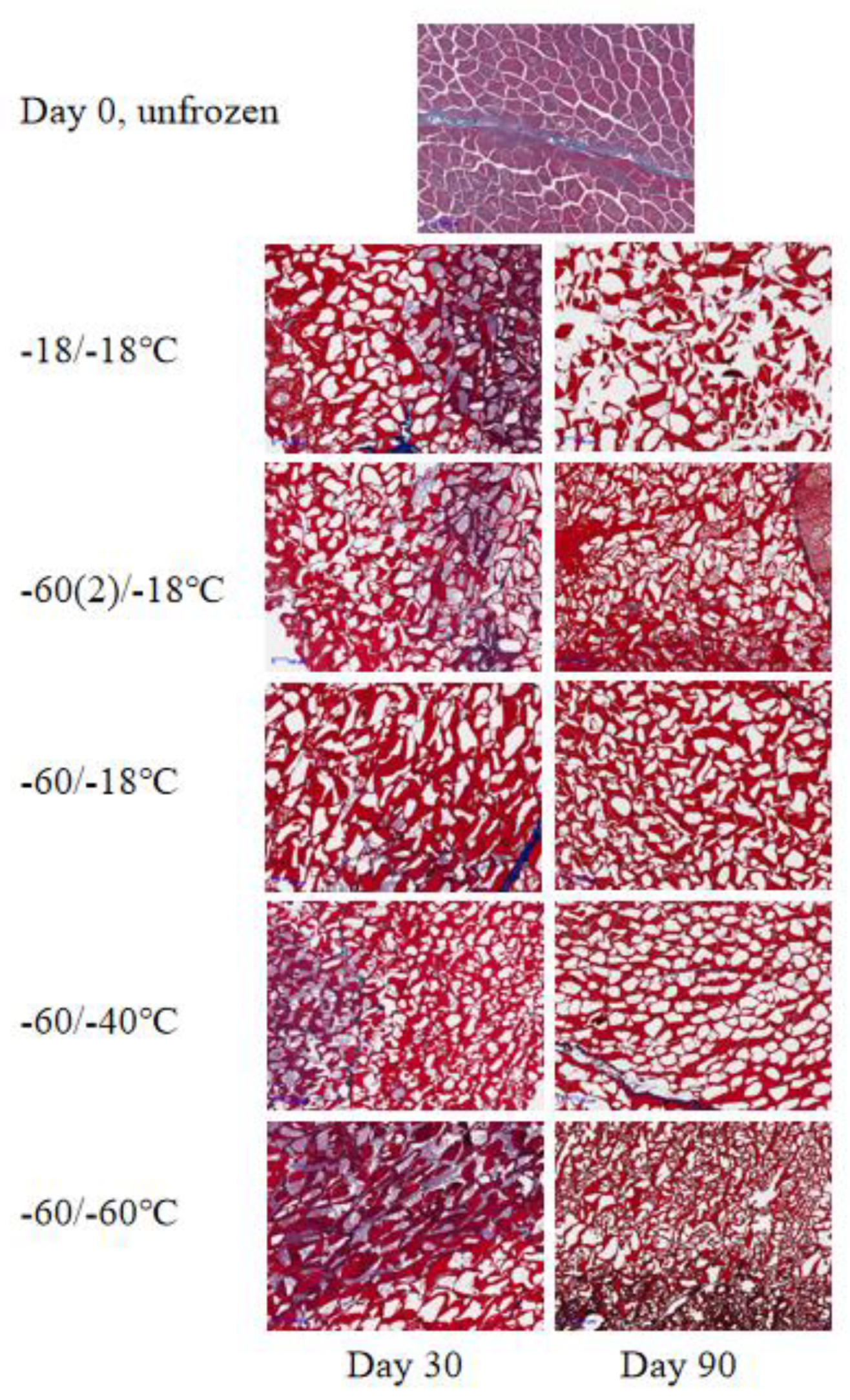 Preprints 74494 g003