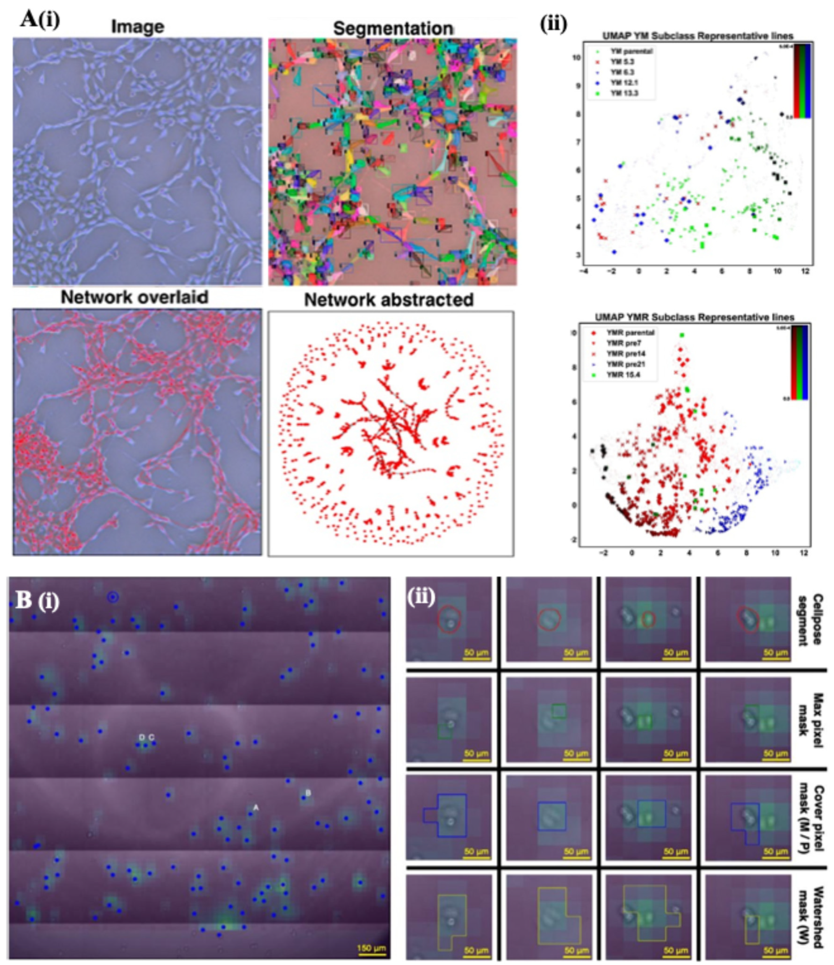 Preprints 170235 g001