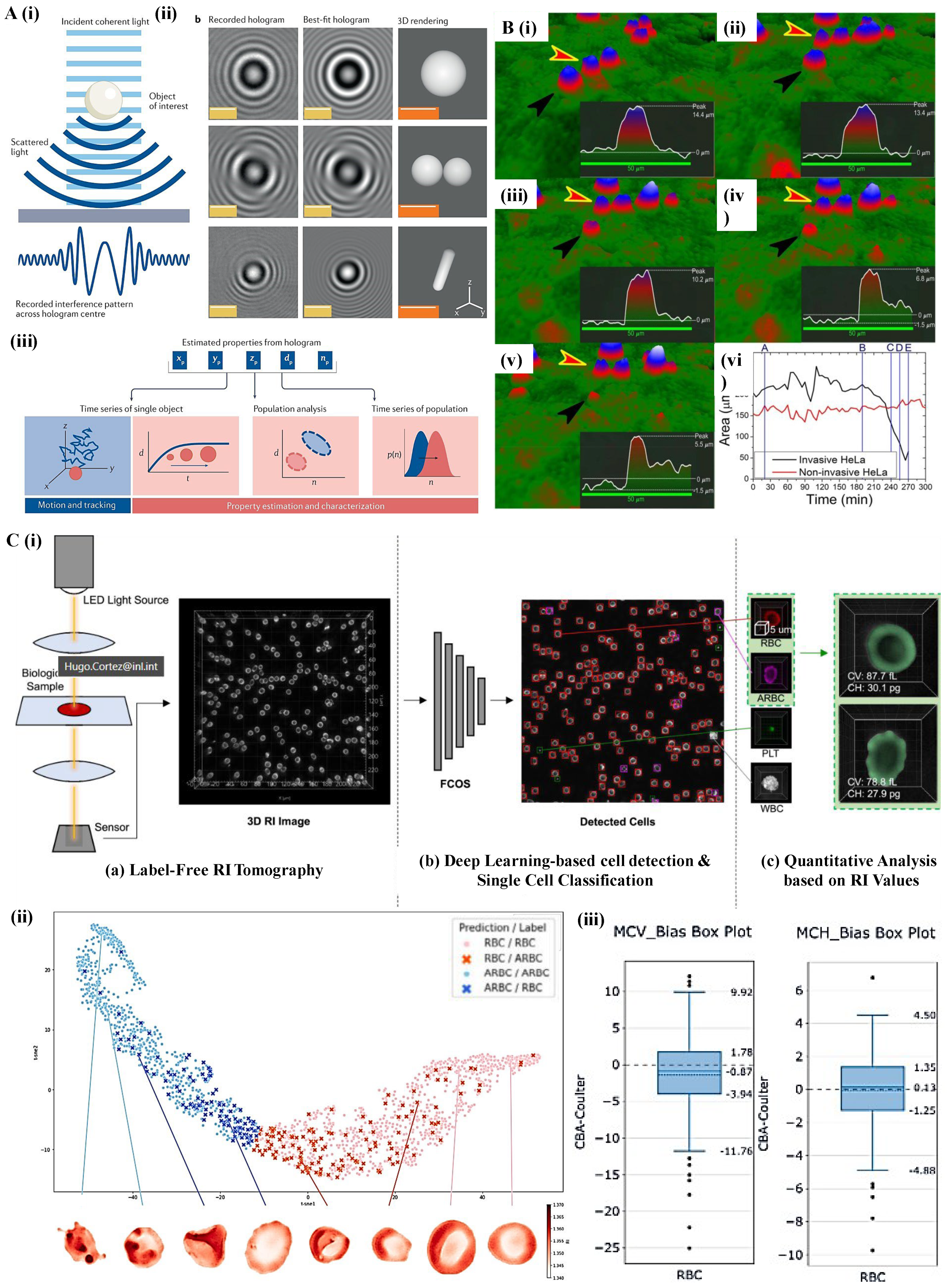 Preprints 170235 g002