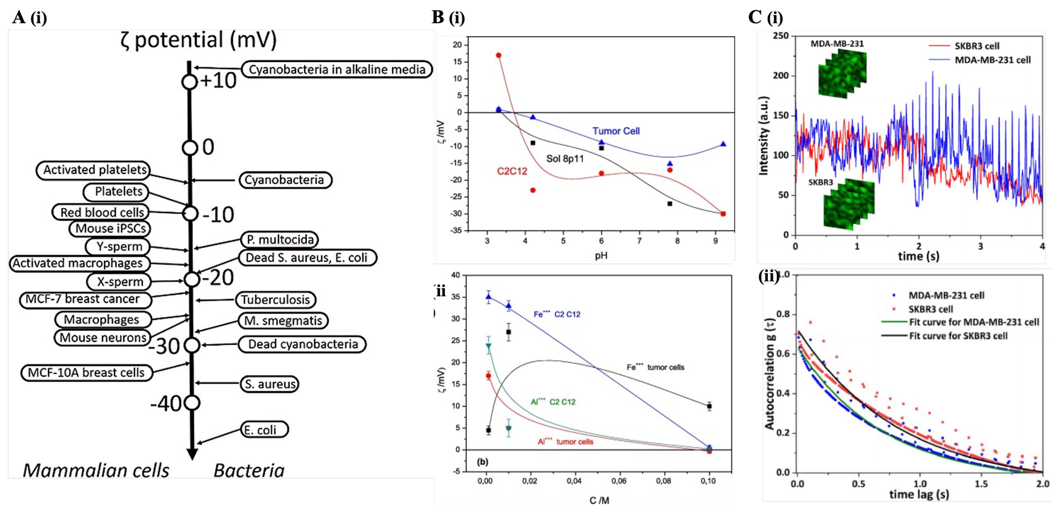 Preprints 170235 g006