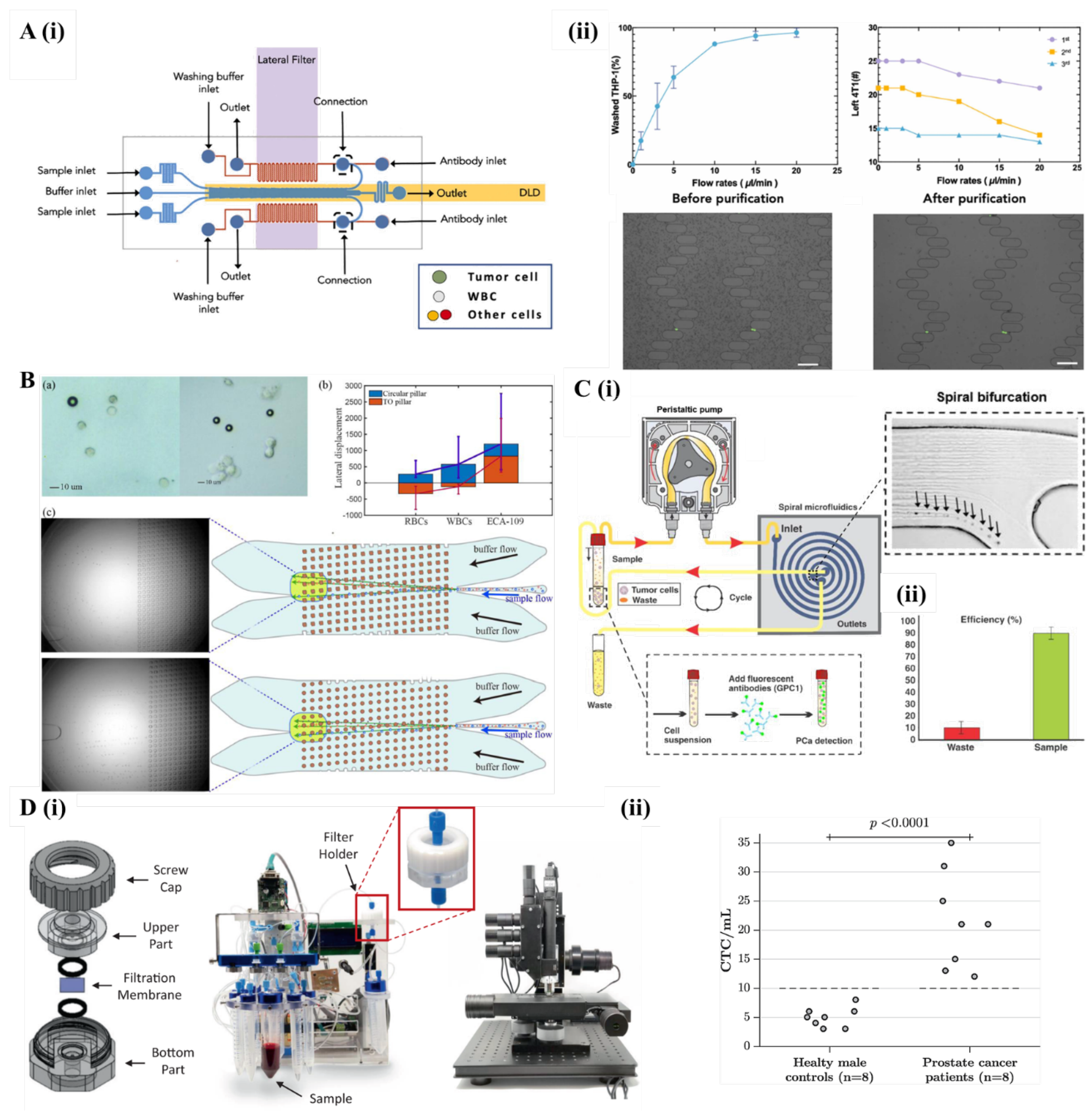 Preprints 170235 g007
