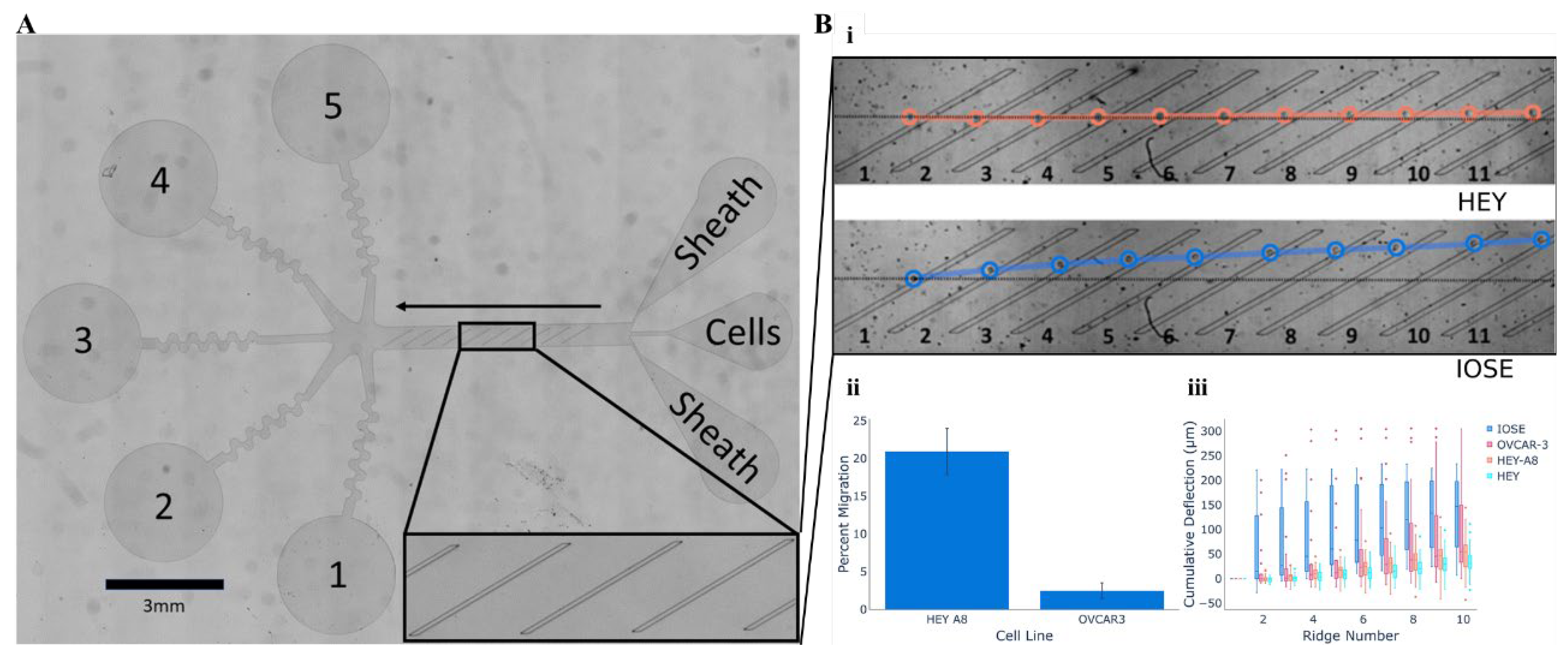 Preprints 170235 g009