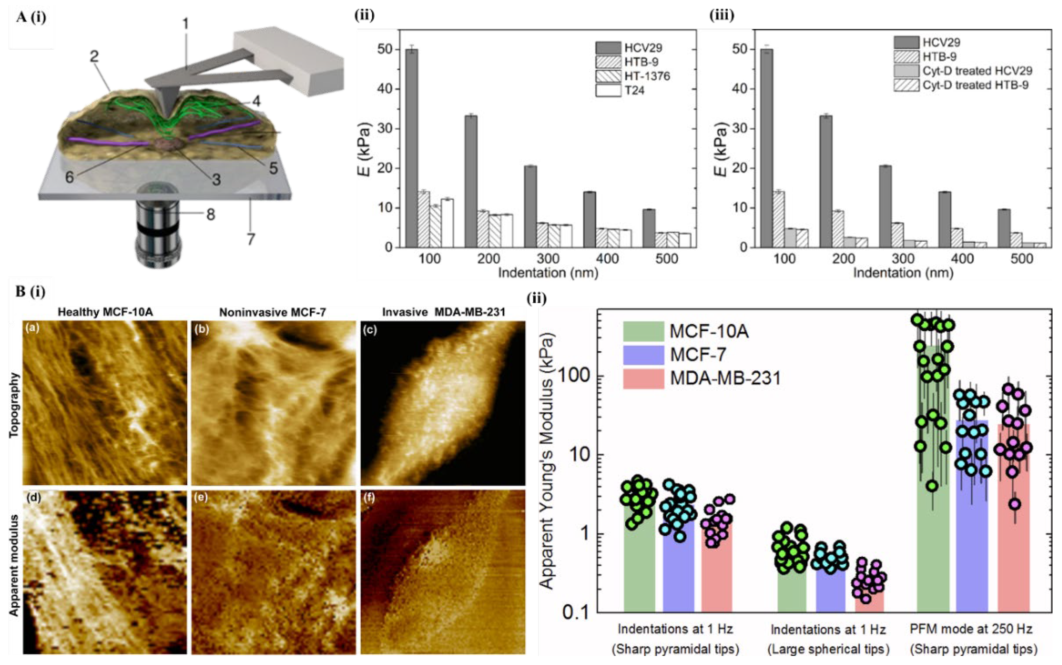 Preprints 170235 g010