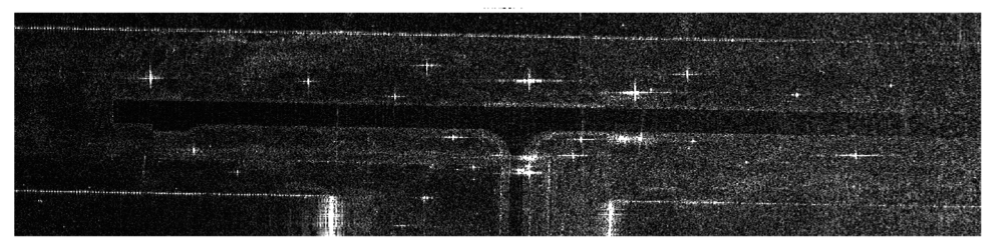 Preprints 95394 g016