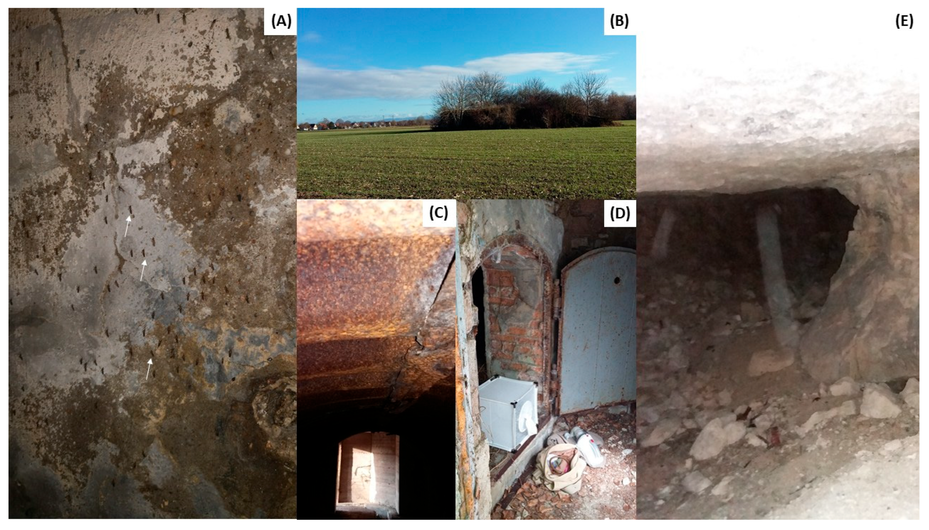 Preprints 167822 g002