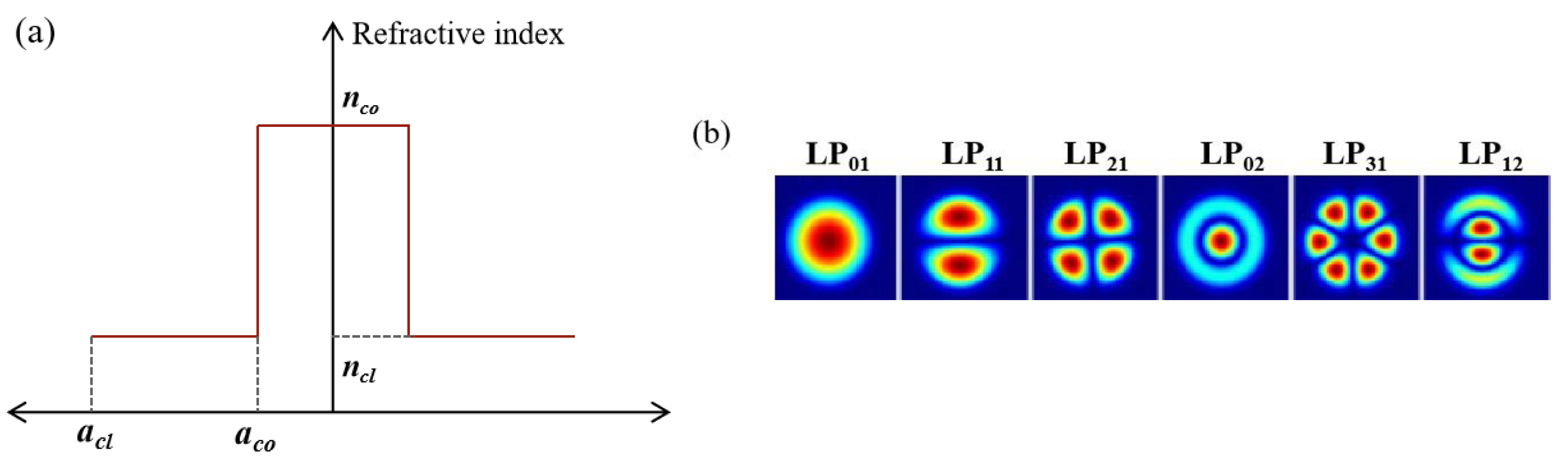 Preprints 193156 g002