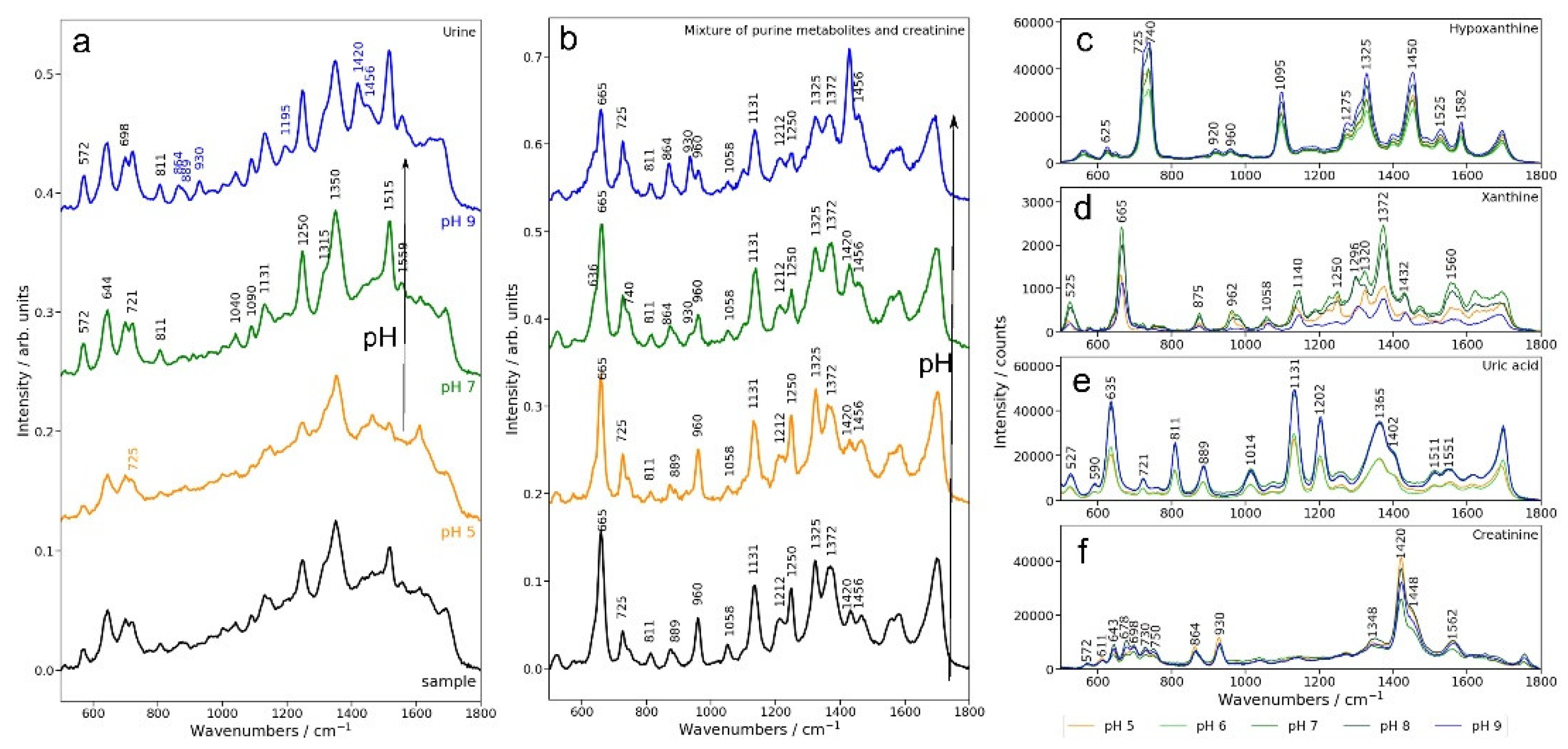 Preprints 147424 g001