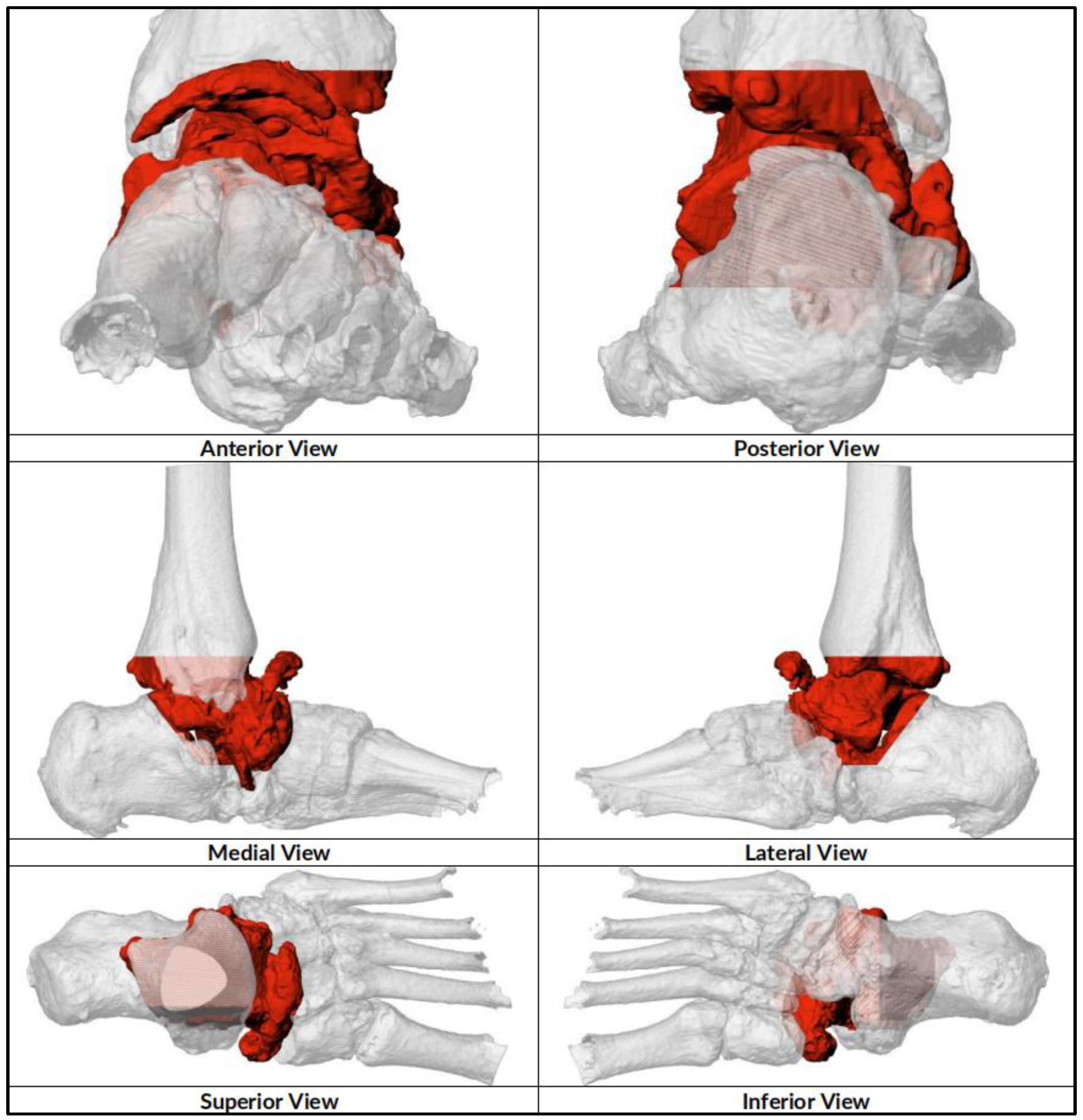 Preprints 154333 g001