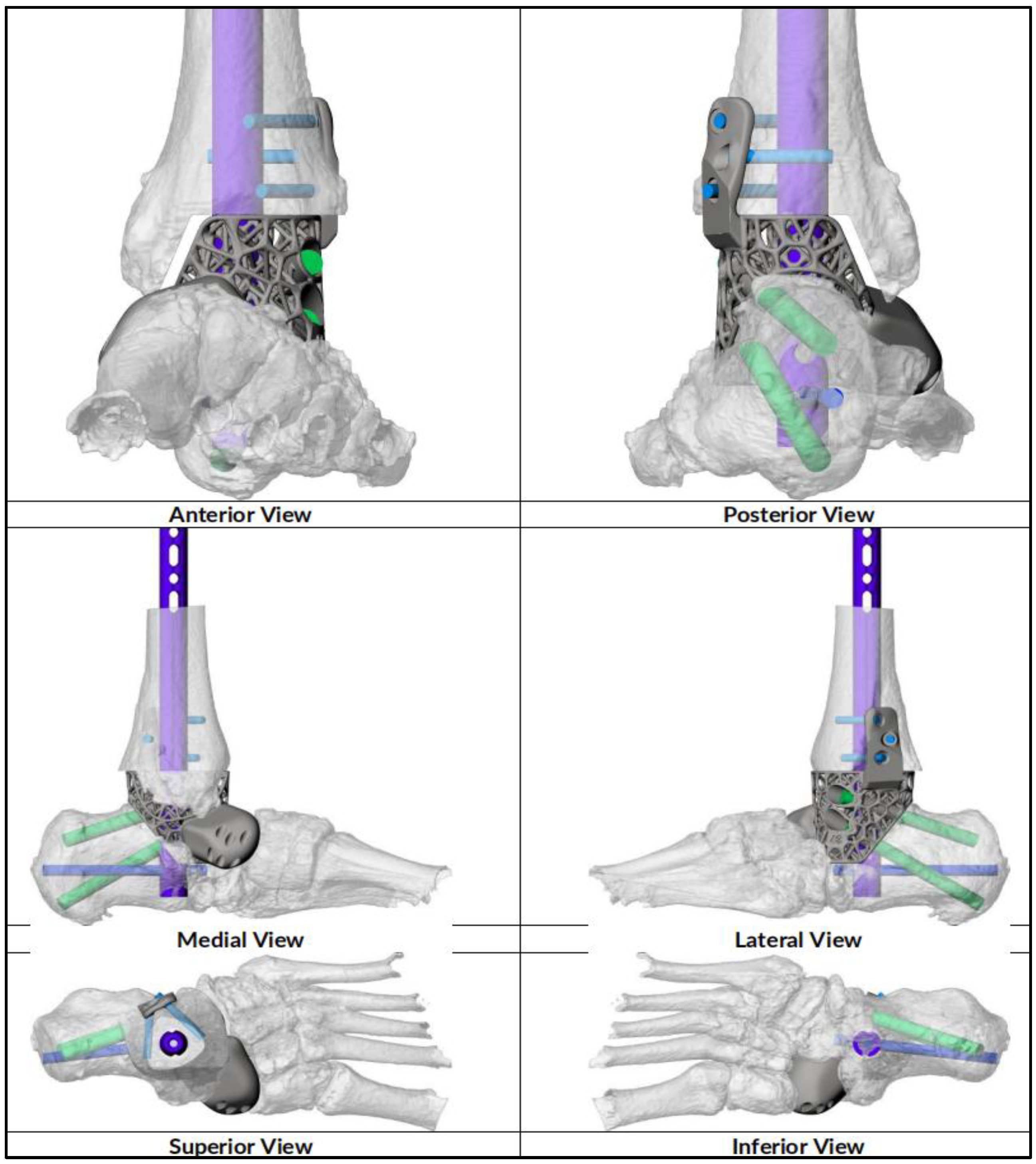 Preprints 154333 g002