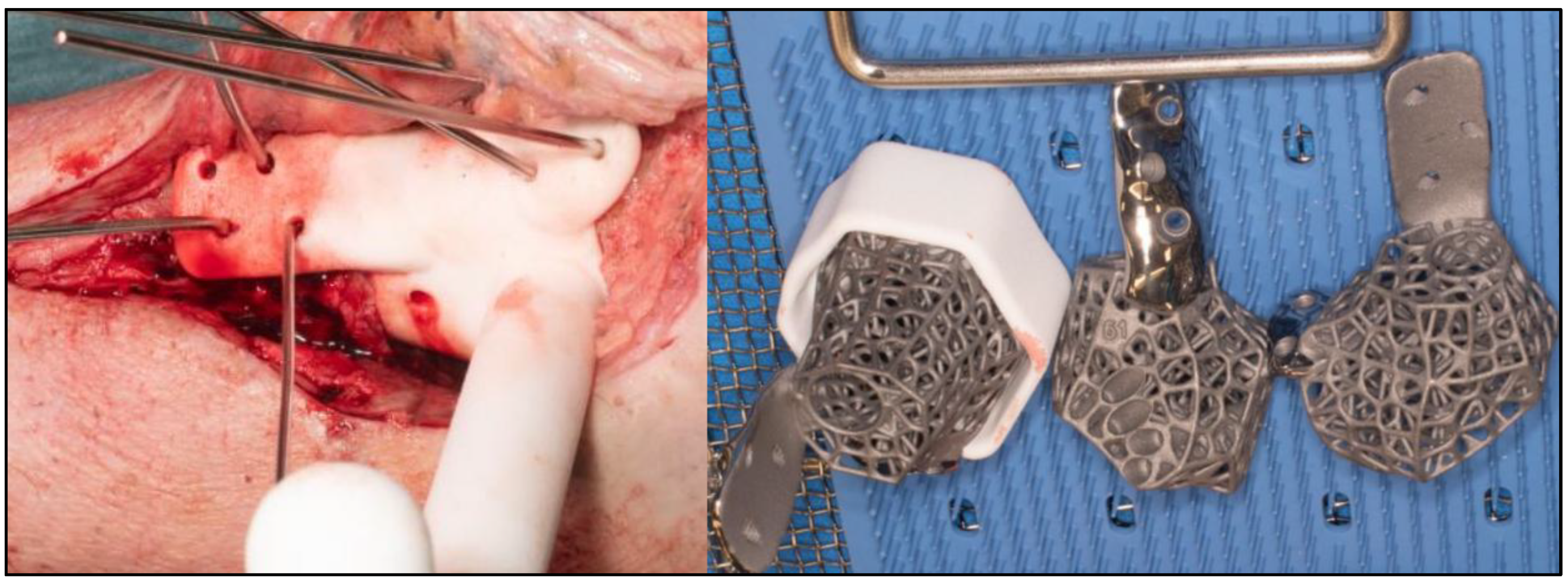 Preprints 154333 g006