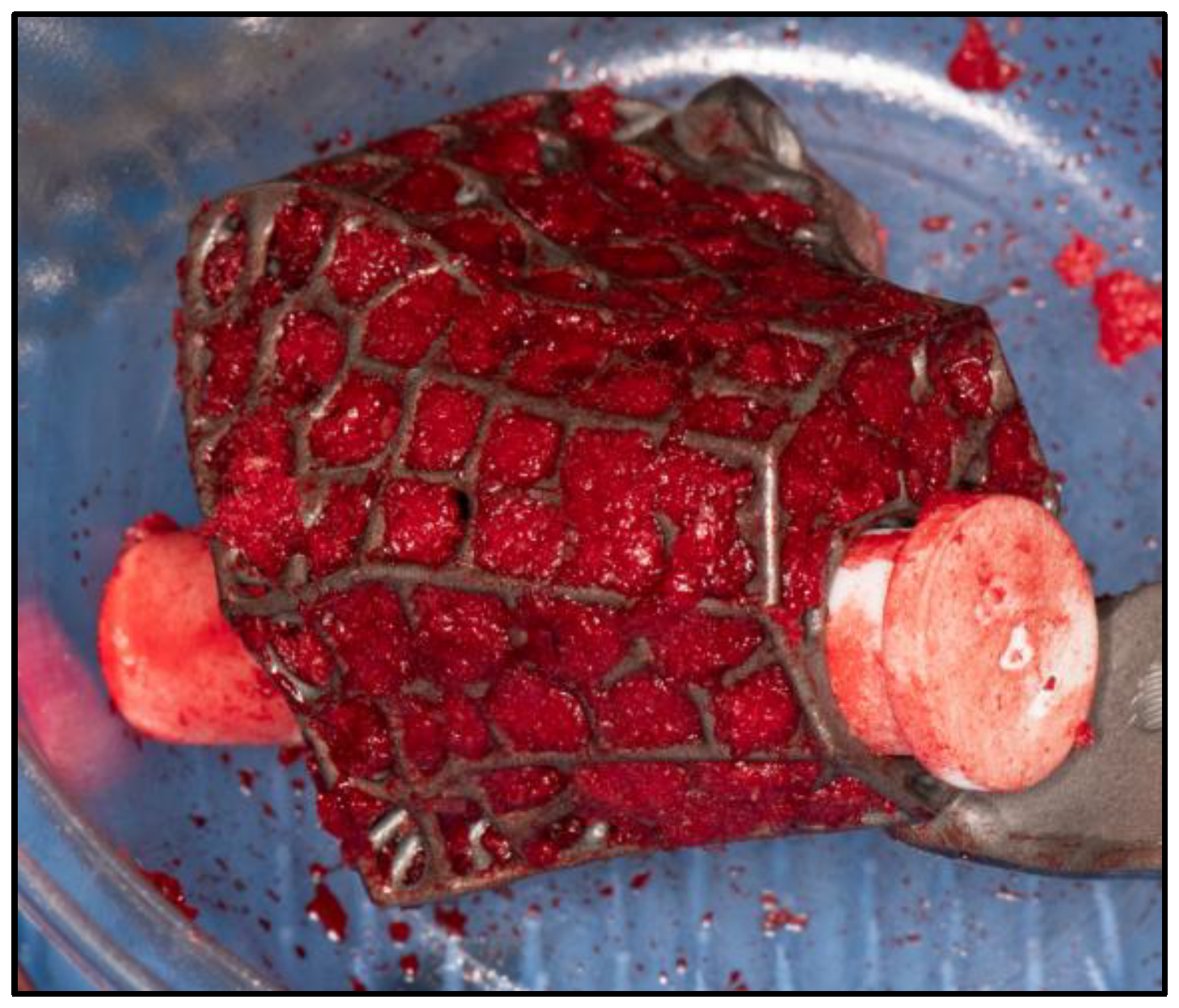 Preprints 154333 g007