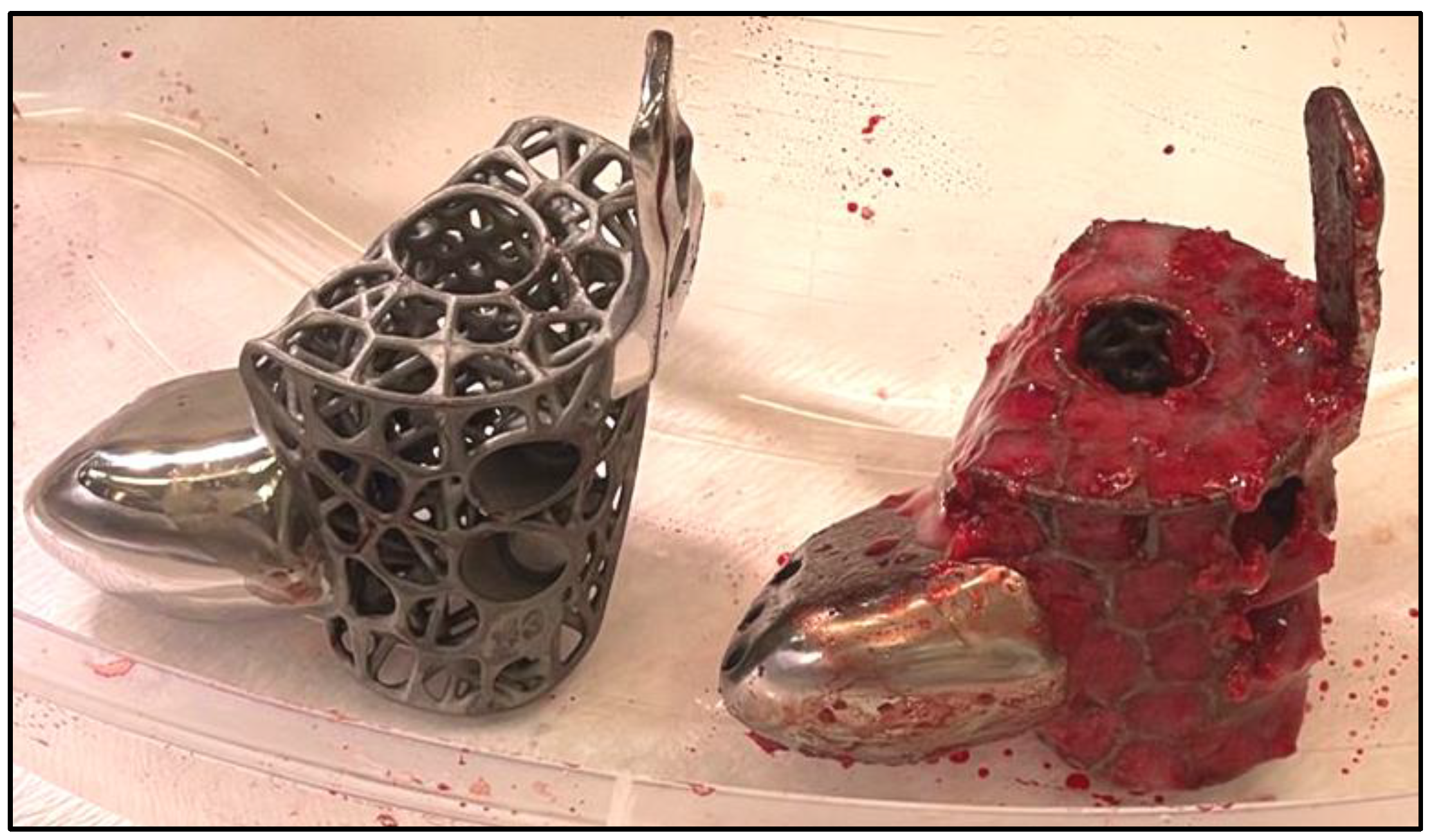 Preprints 154333 g008