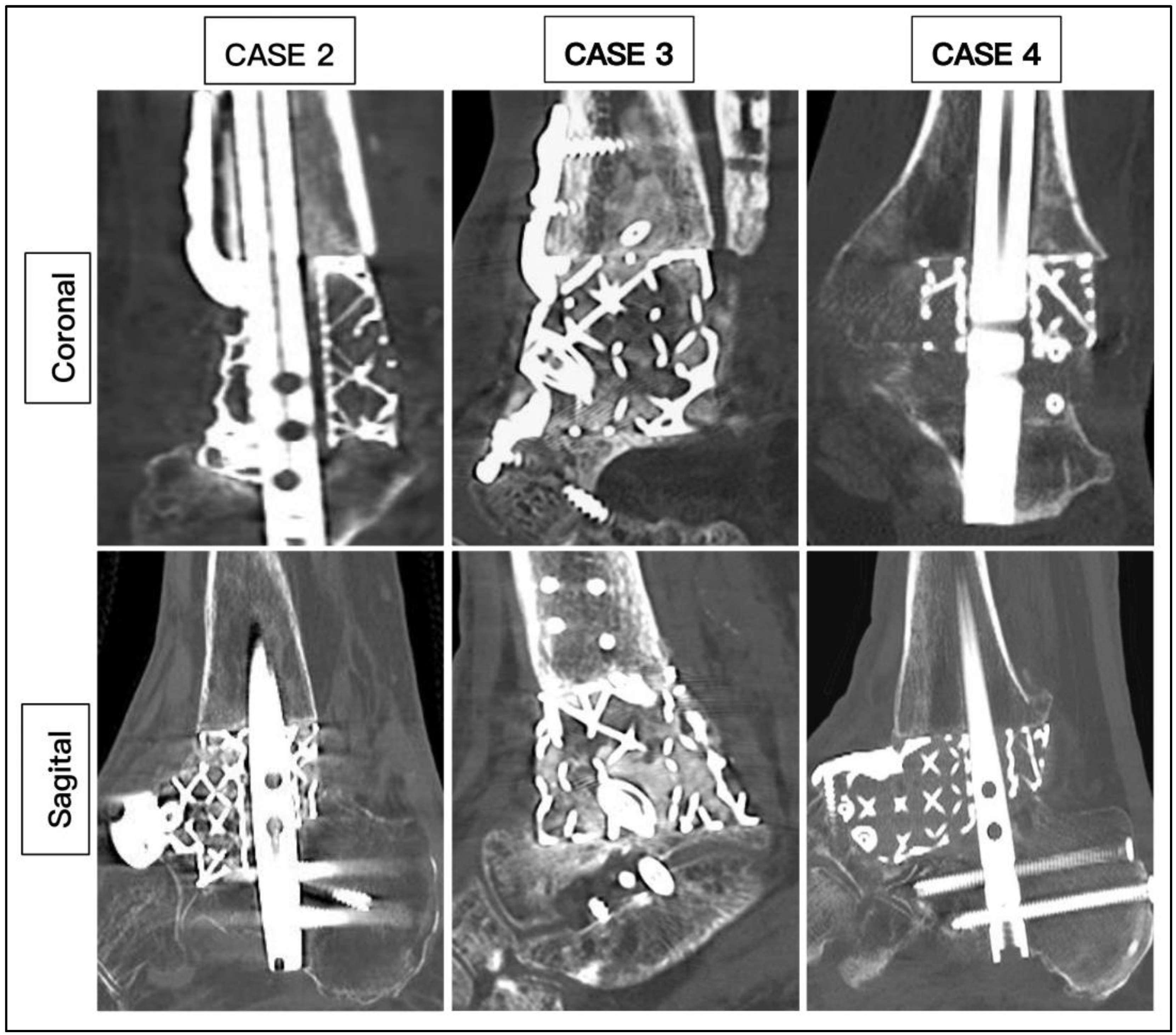 Preprints 154333 g009