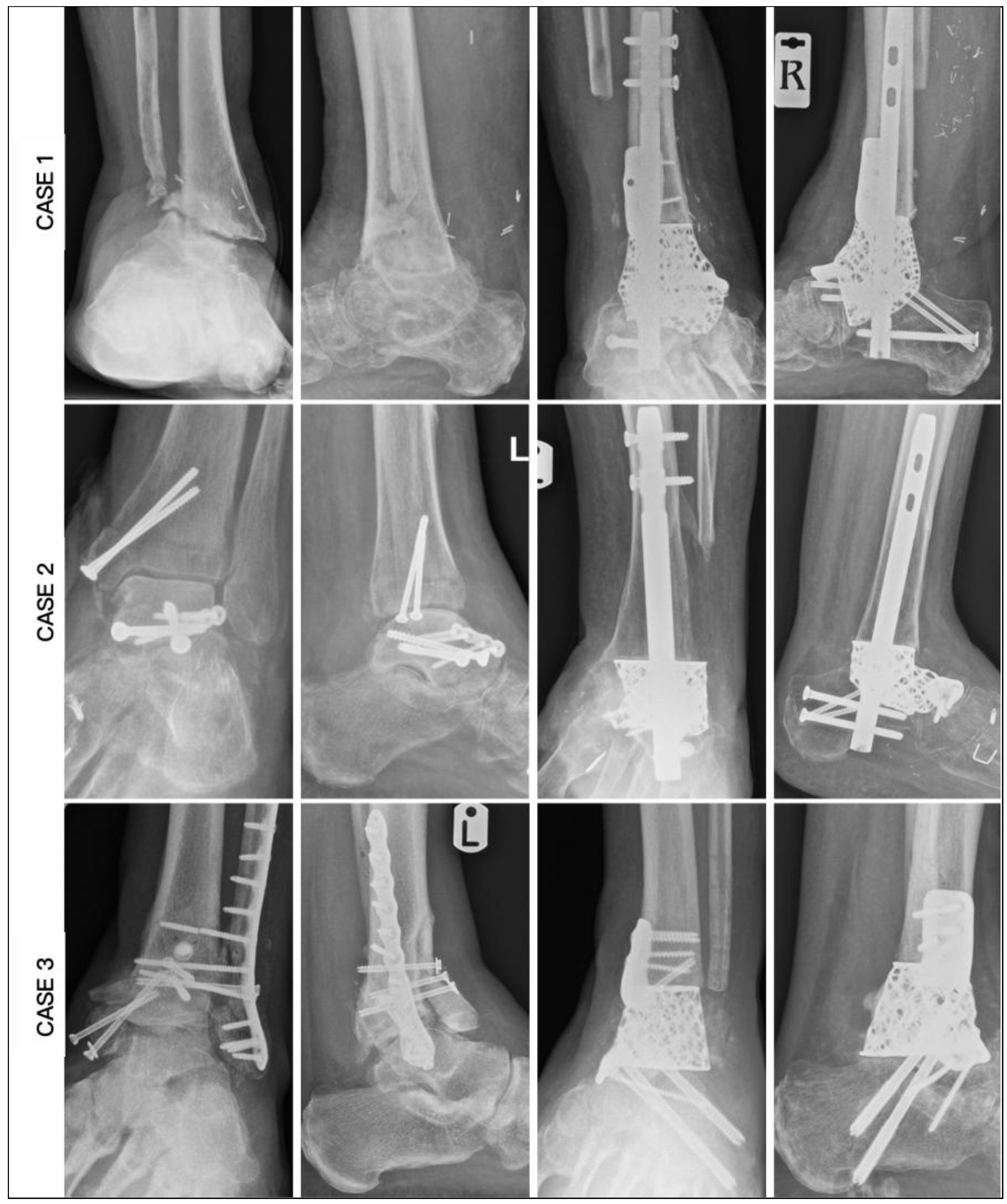 Preprints 154333 g010