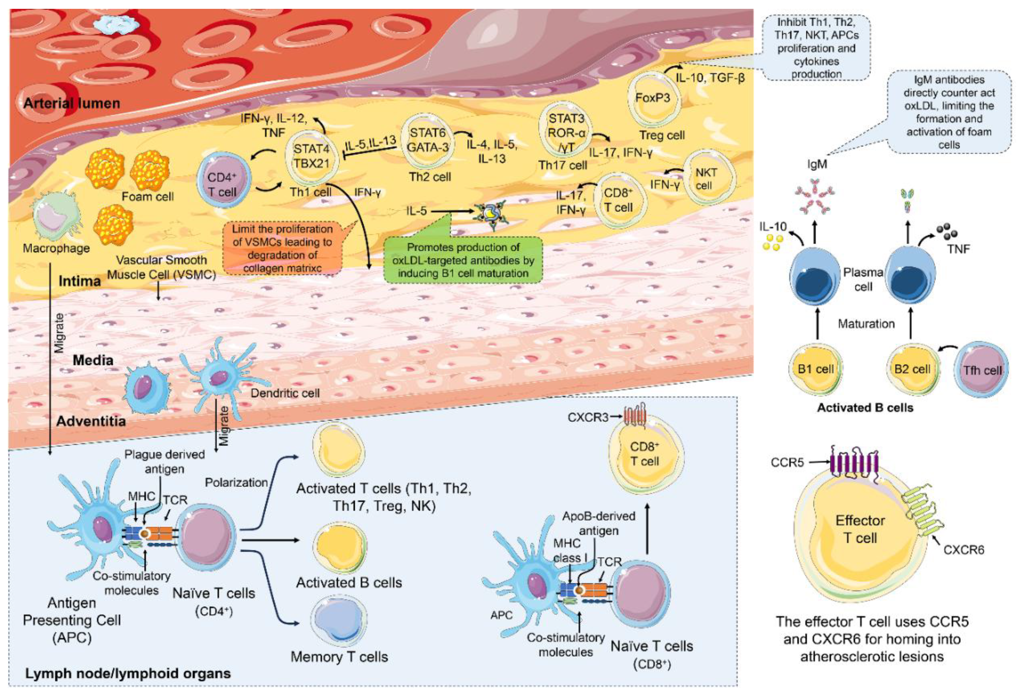 Preprints 193862 g002