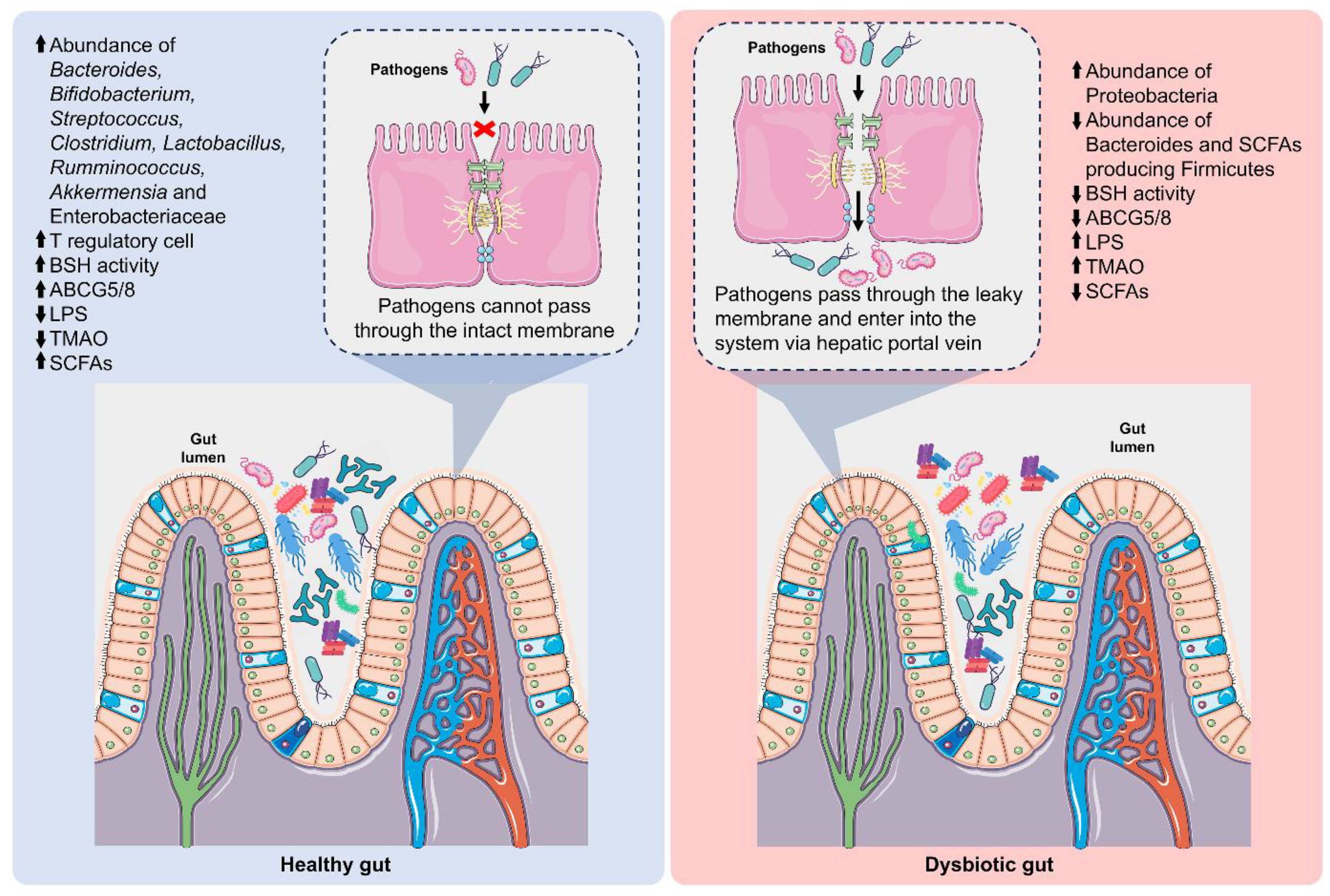 Preprints 193862 g005