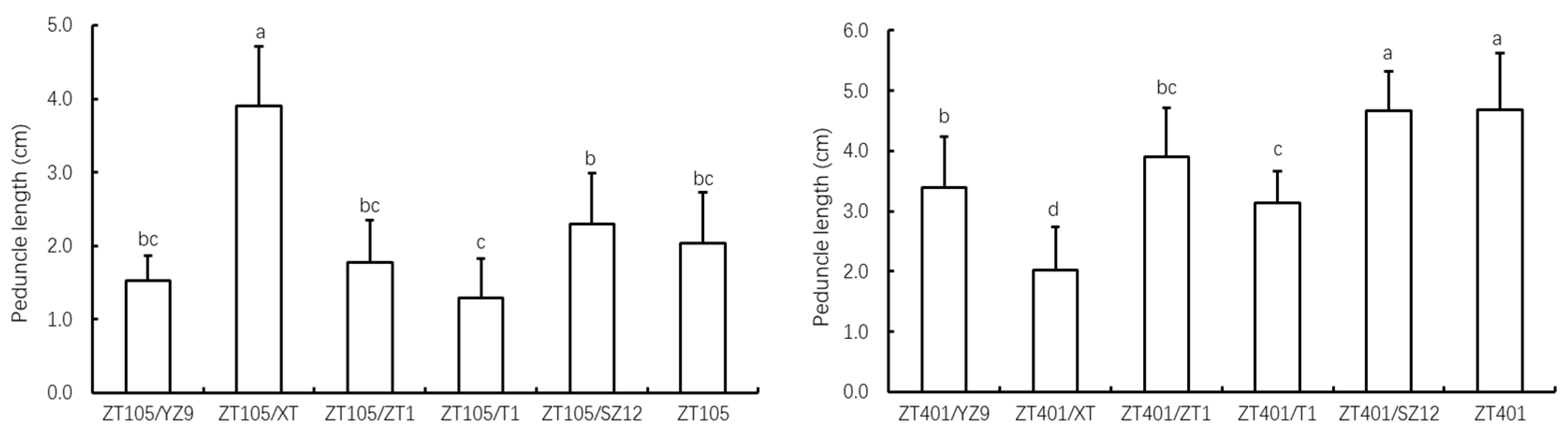 Preprints 145049 g003