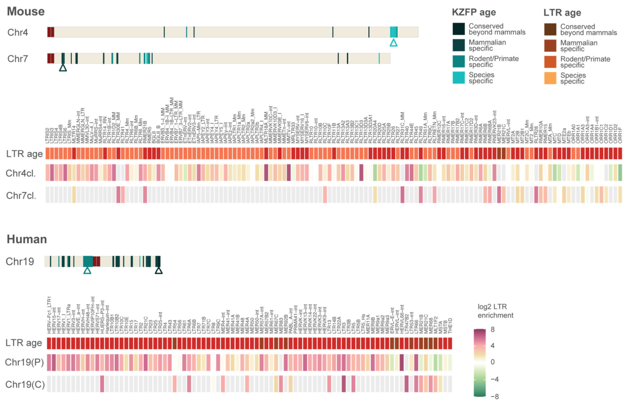 Preprints 230079 g002 Preprints 230079 g002