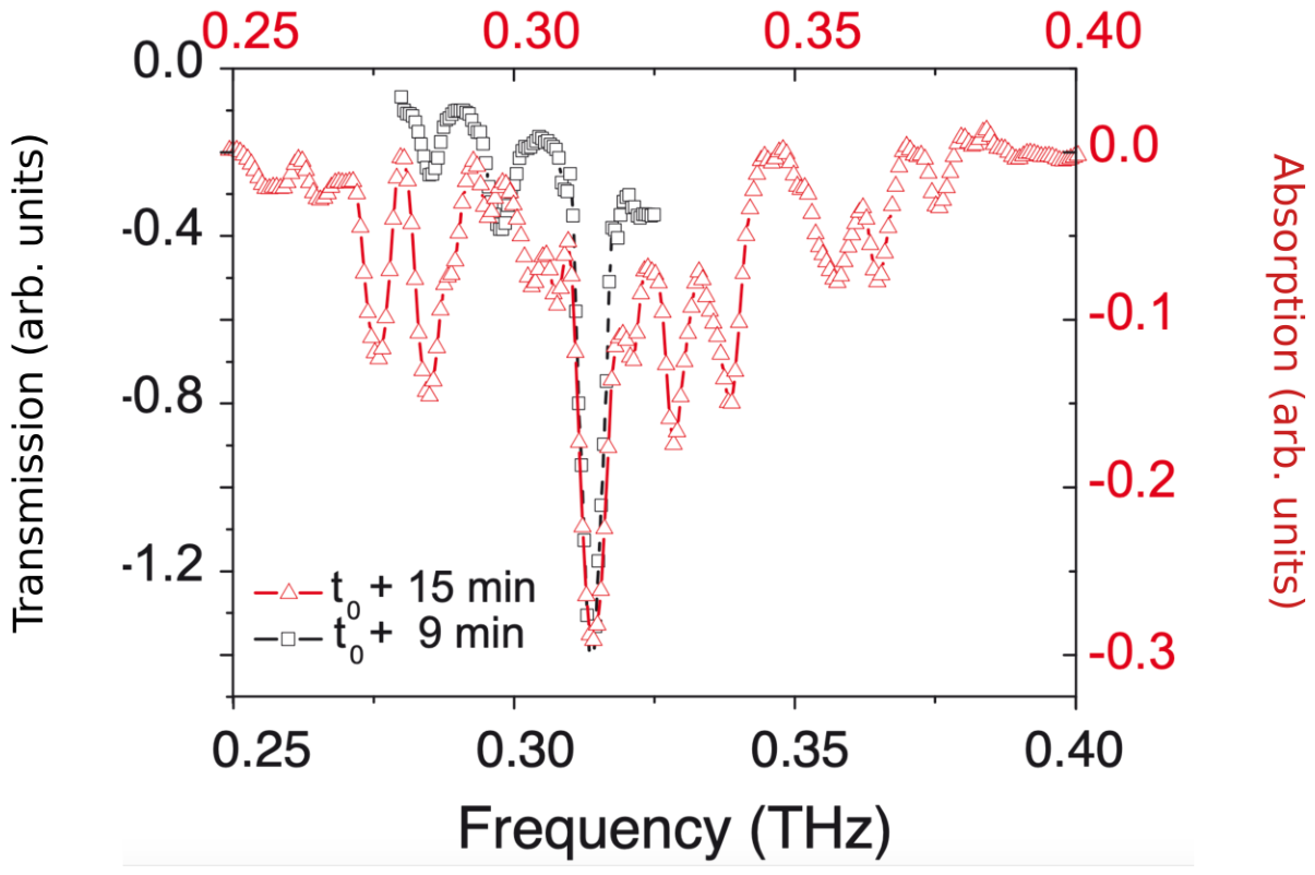 Preprints 219336 g010