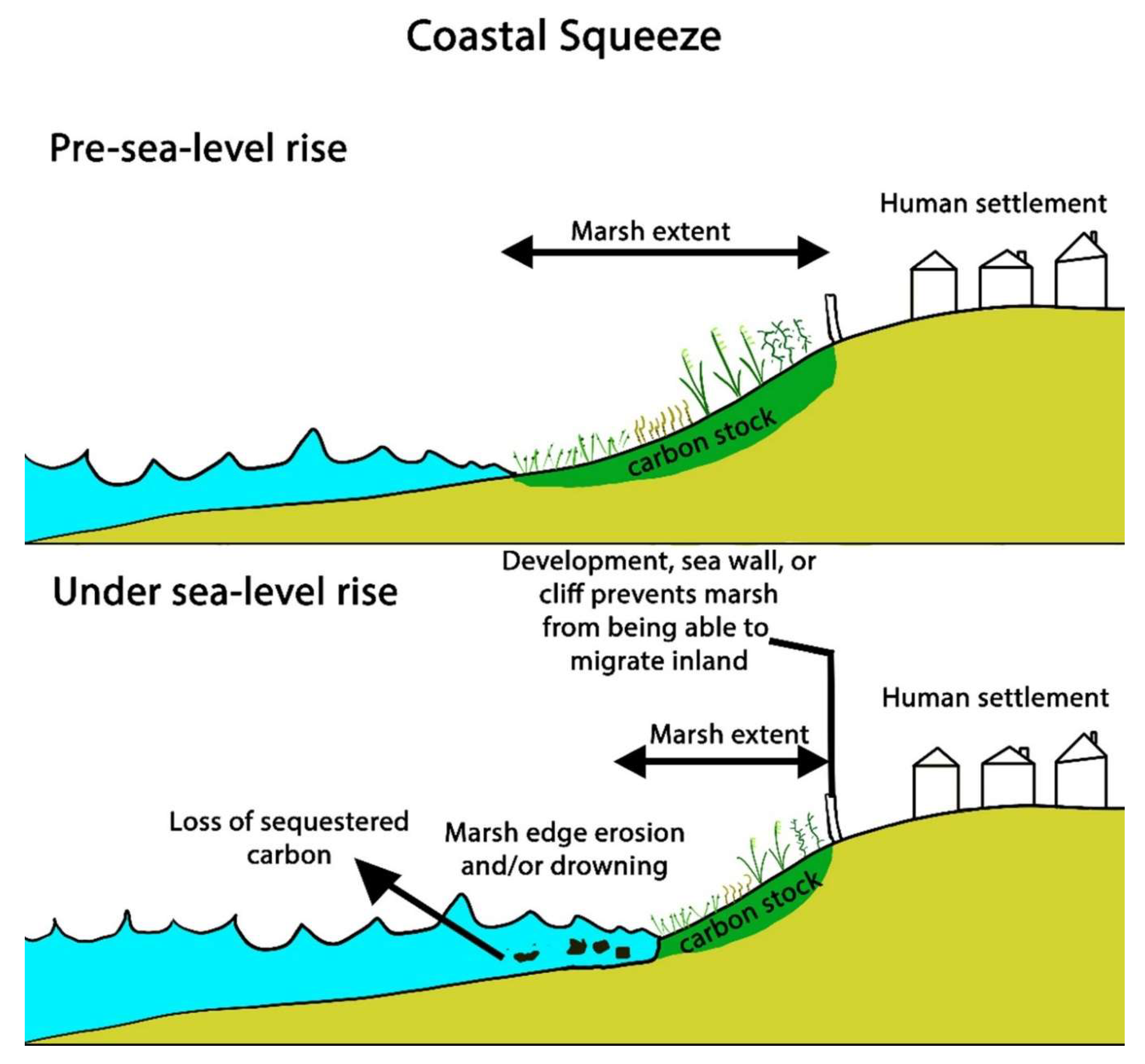 Preprints 153403 g004
