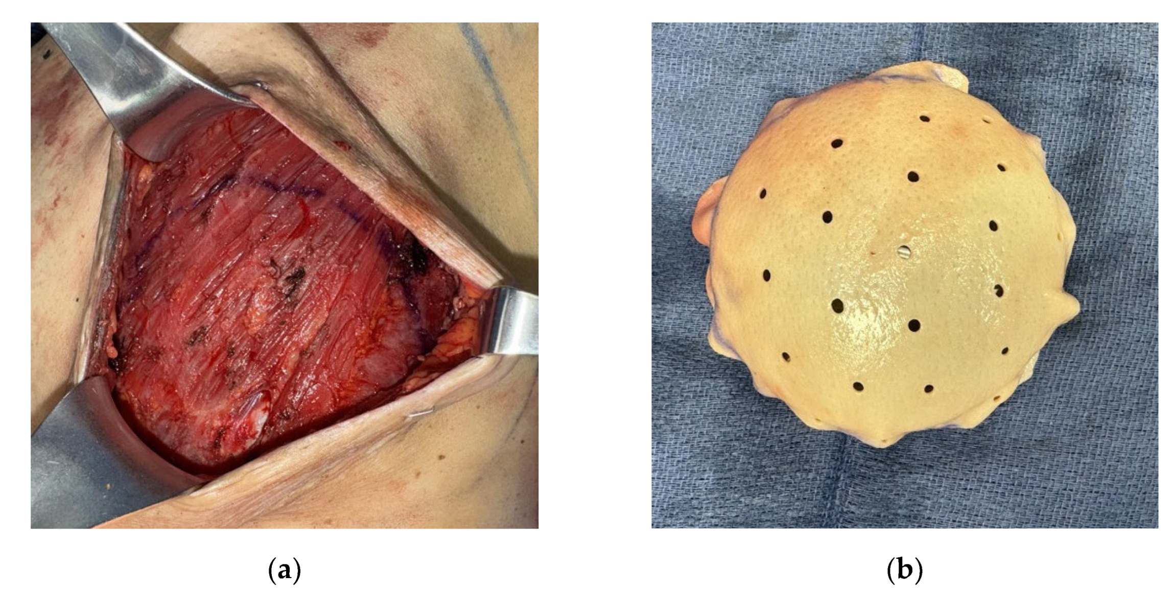 Preprints 170323 g003a