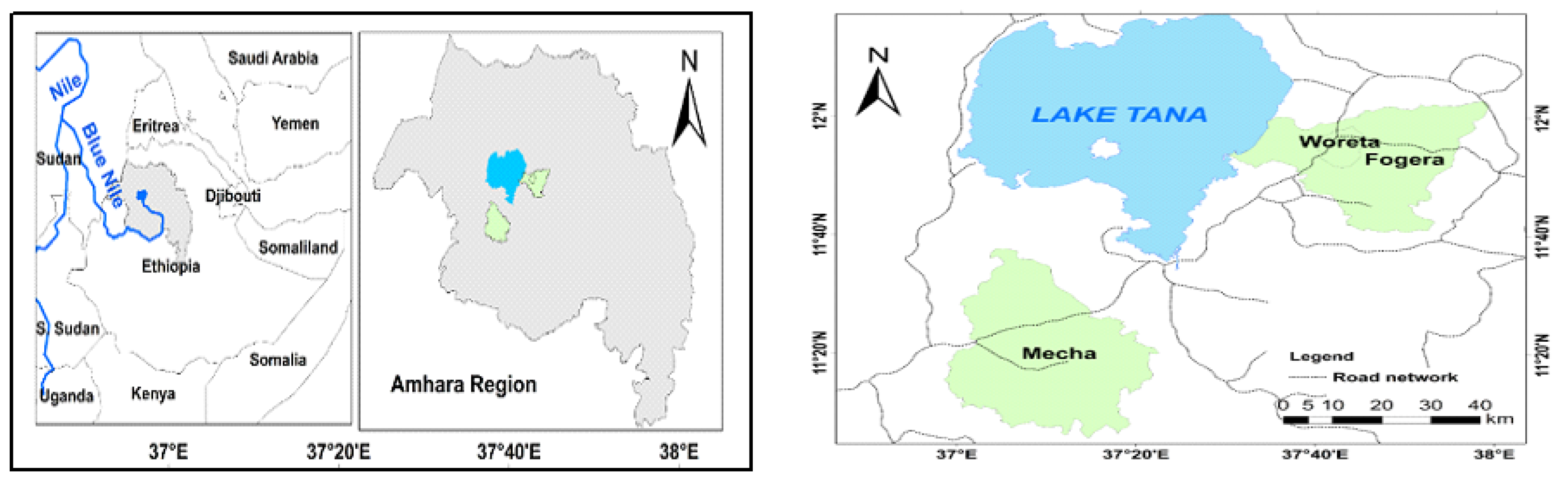 Preprints 137506 g001