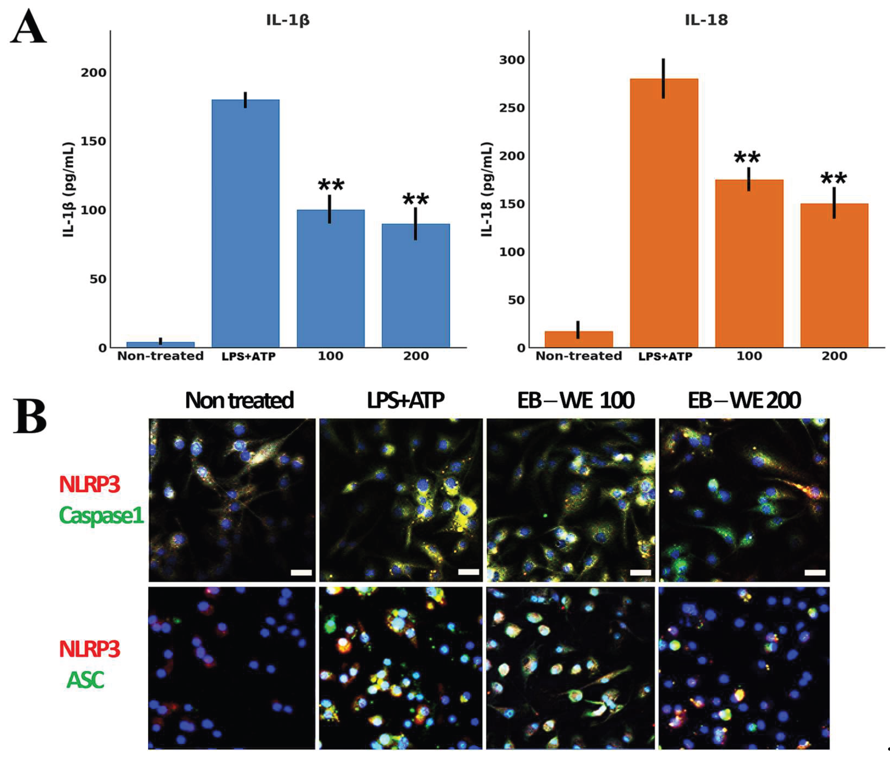 Preprints 197531 g002