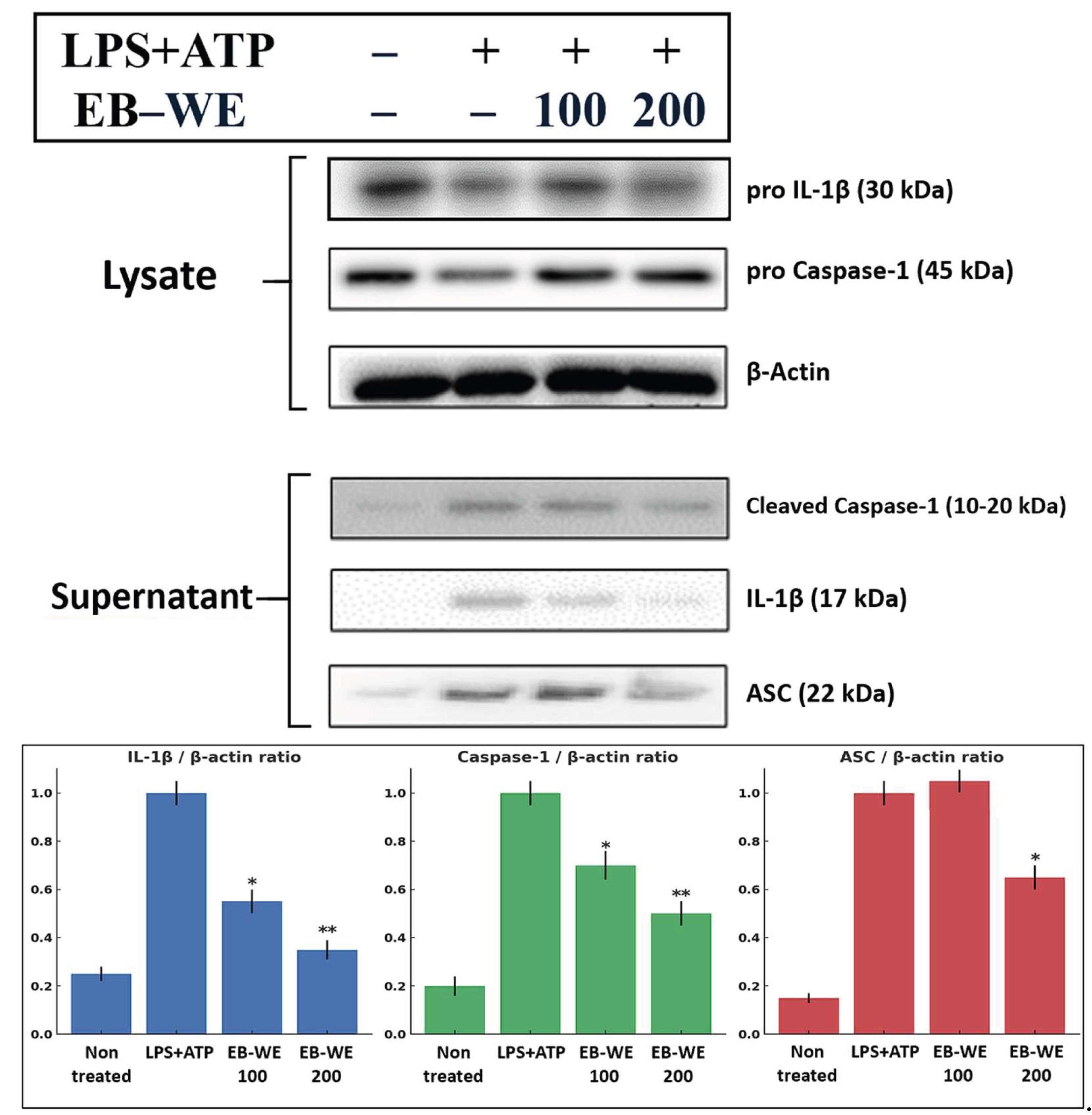 Preprints 197531 g003