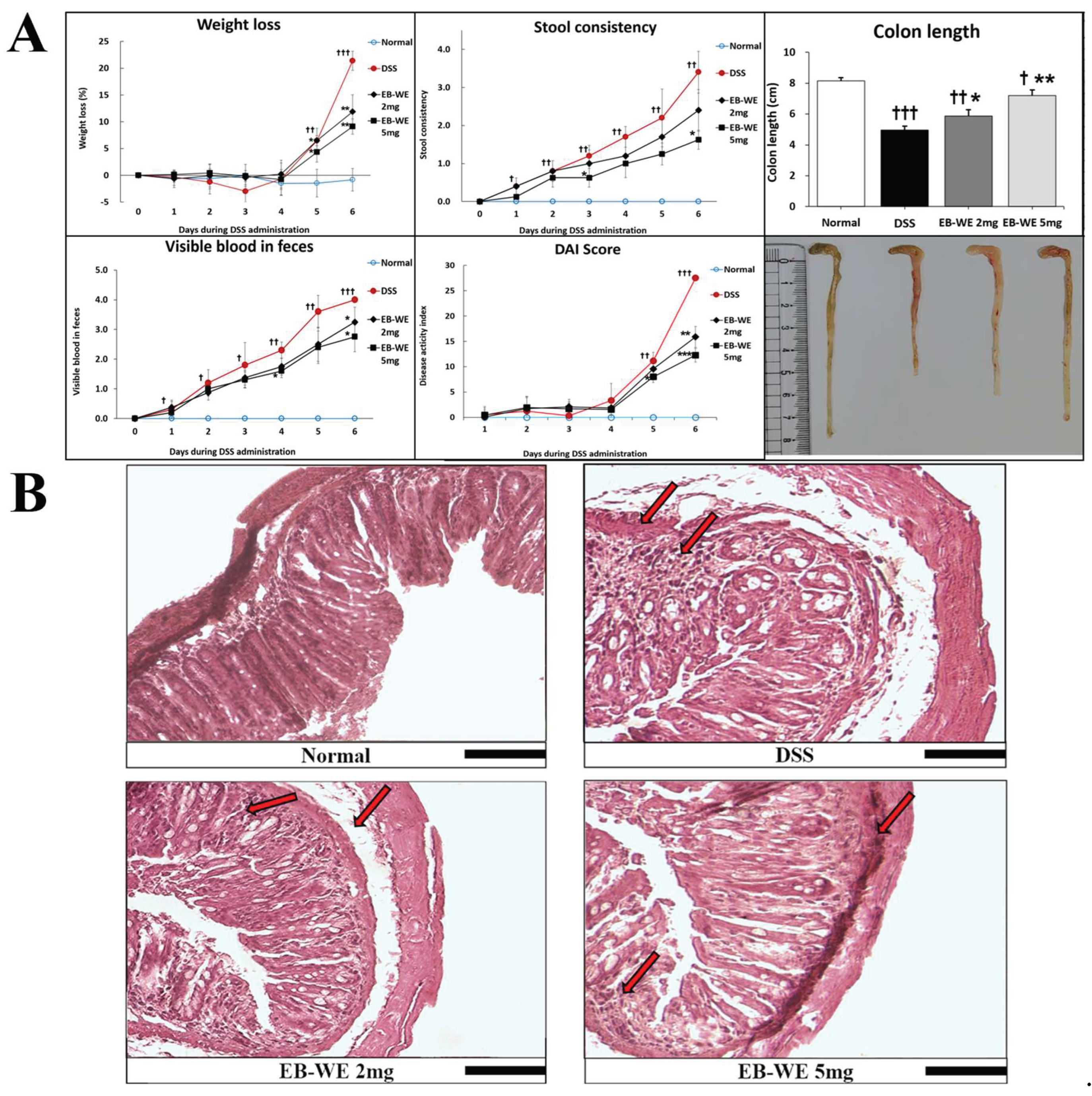 Preprints 197531 g006