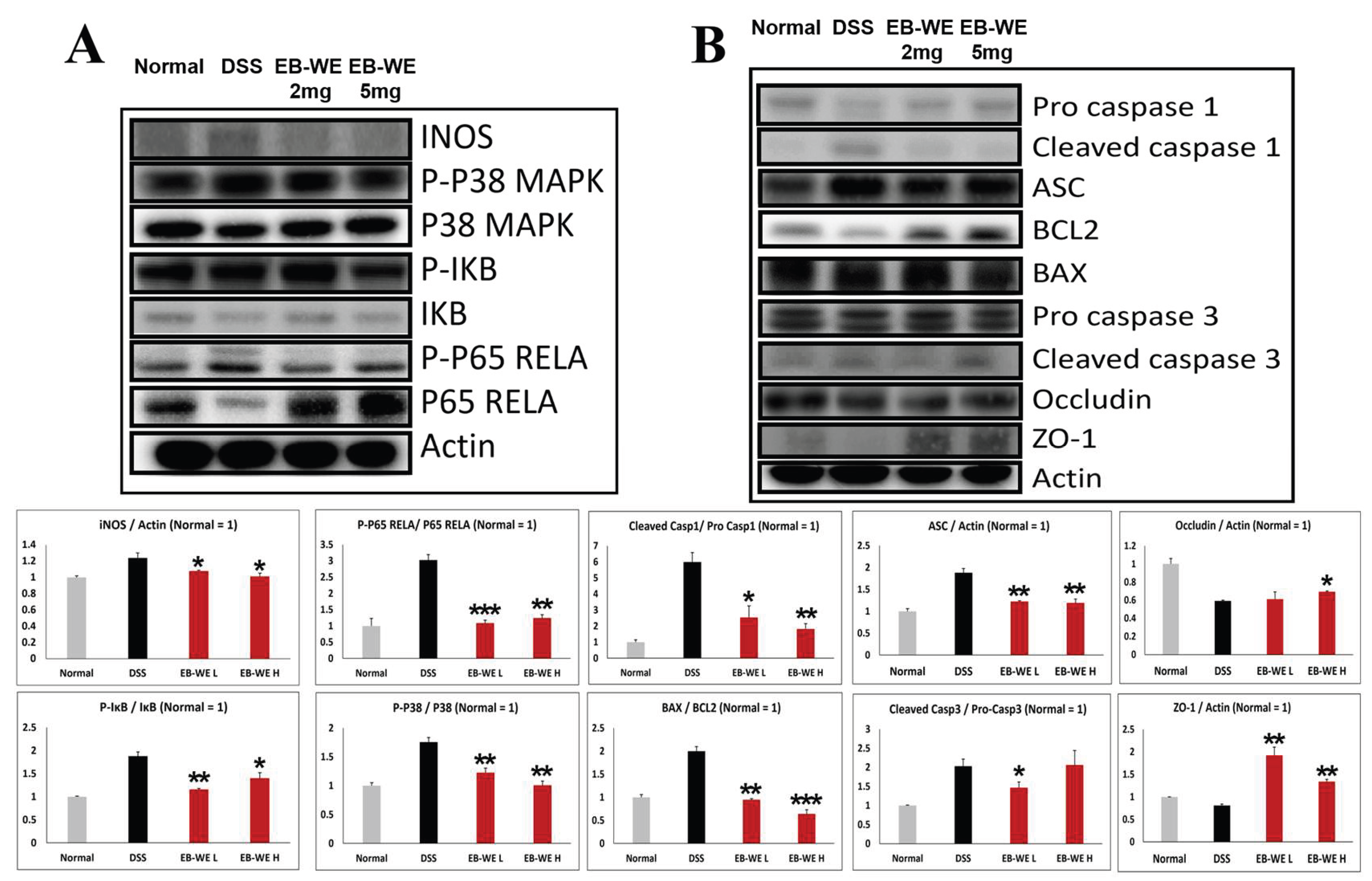 Preprints 197531 g007