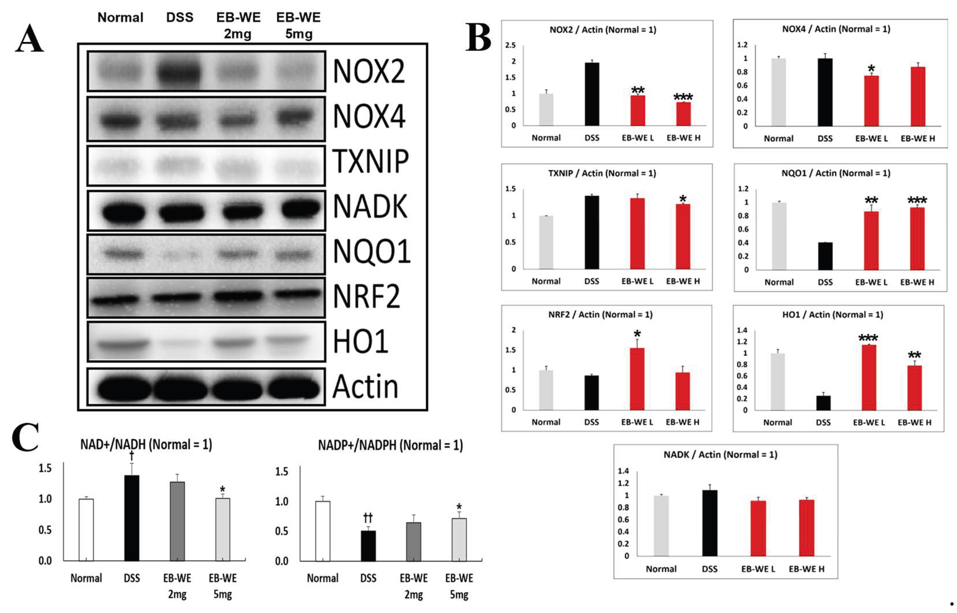 Preprints 197531 g008