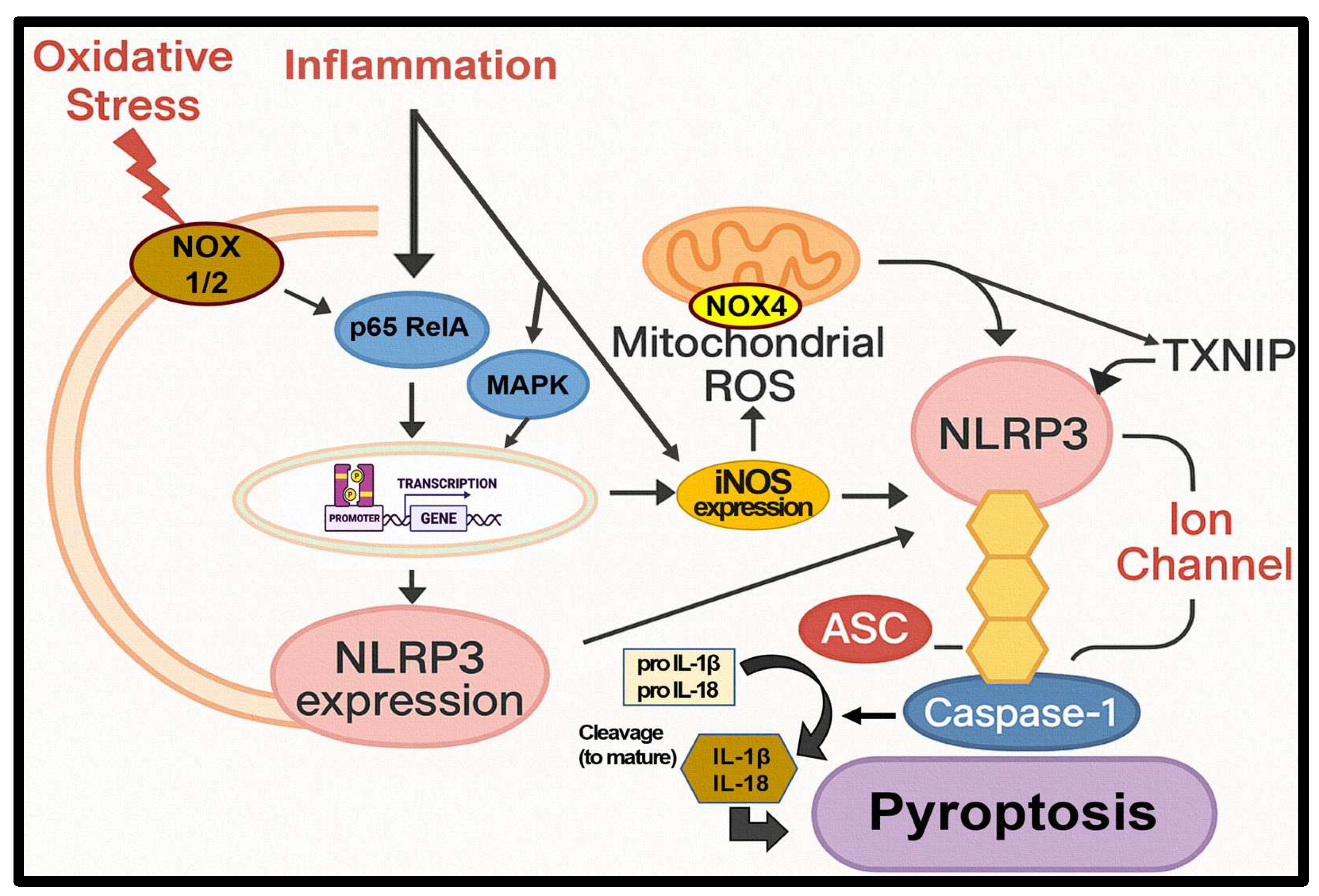 Preprints 197531 g009