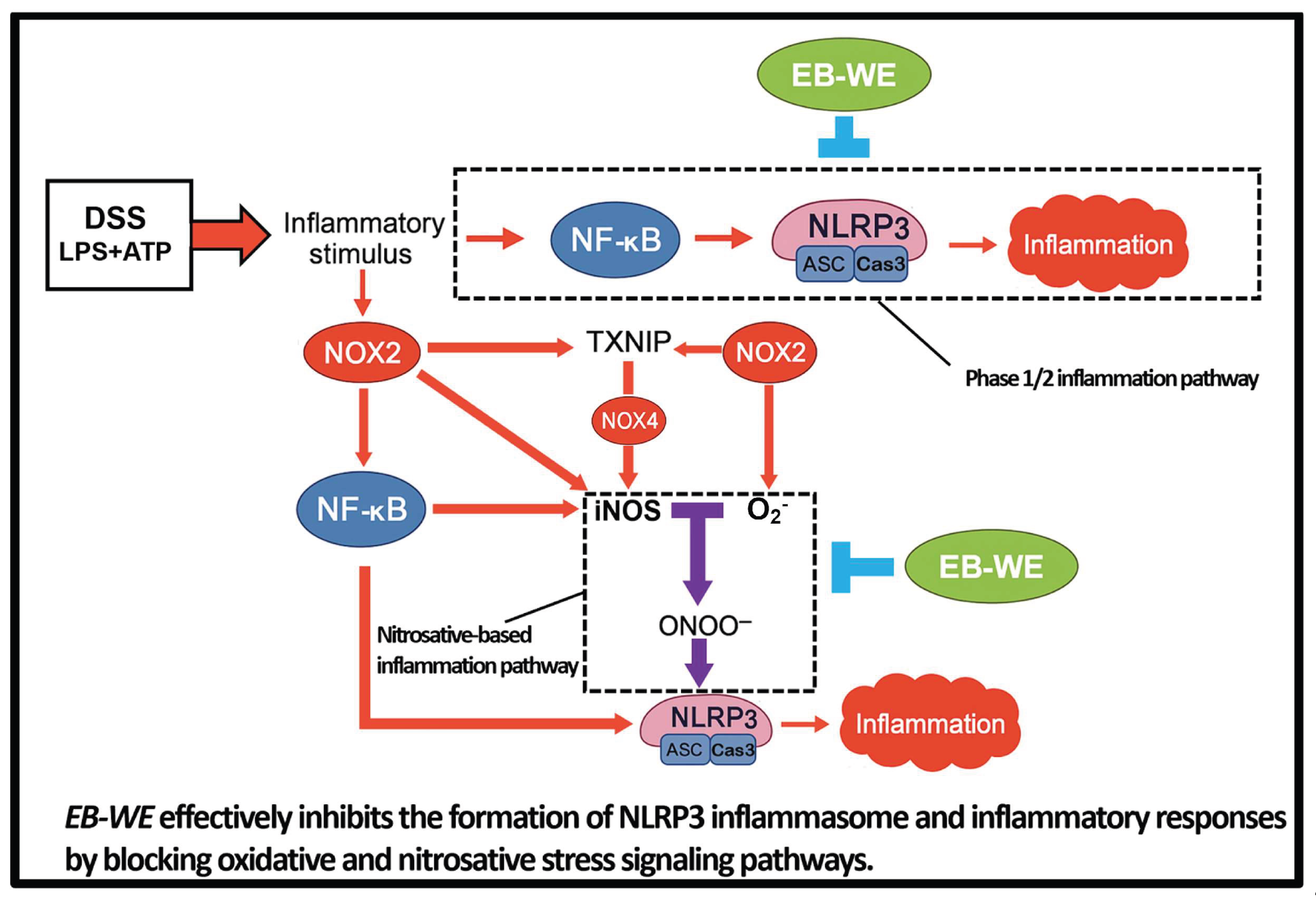 Preprints 197531 g010