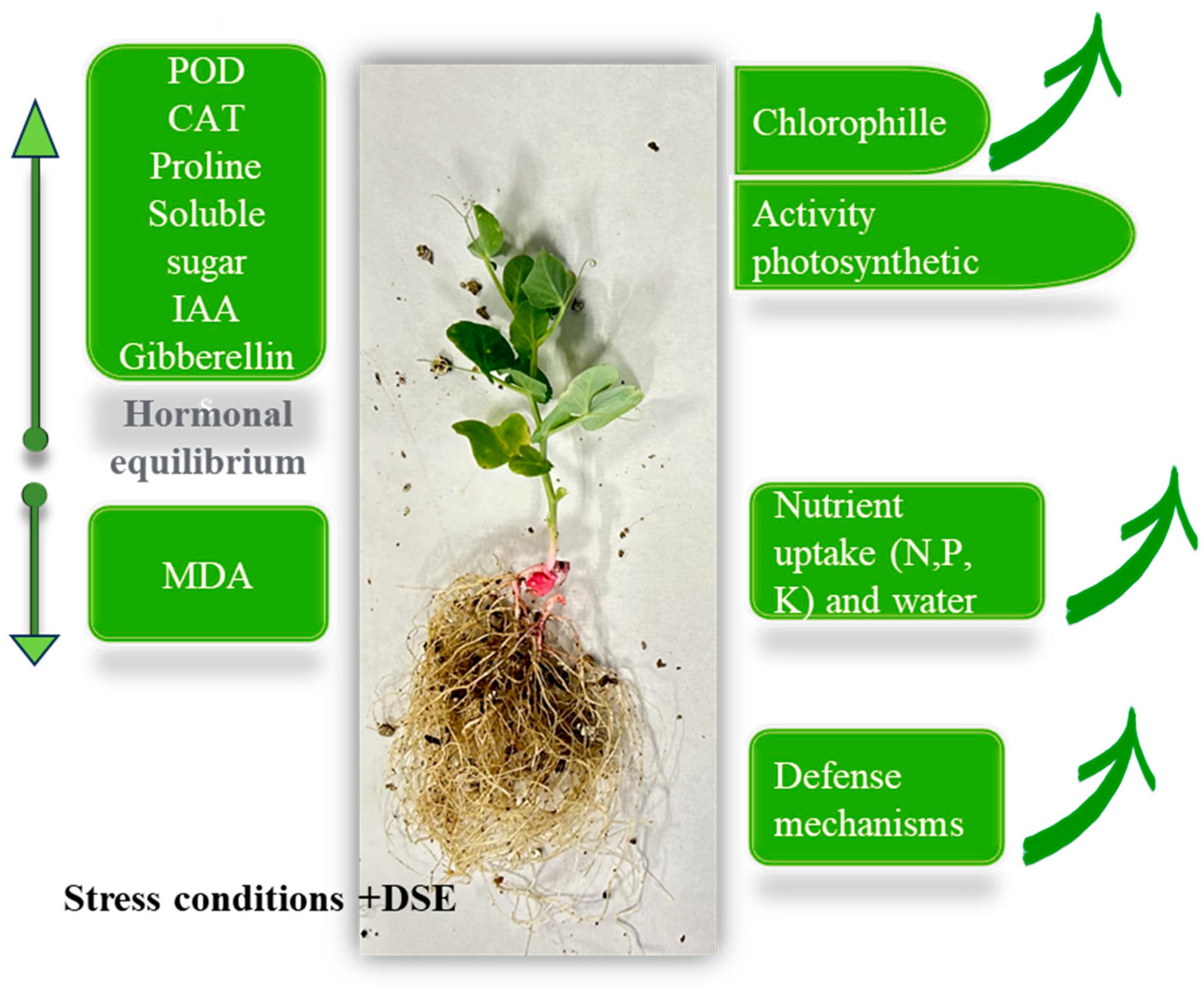Preprints 100719 g002