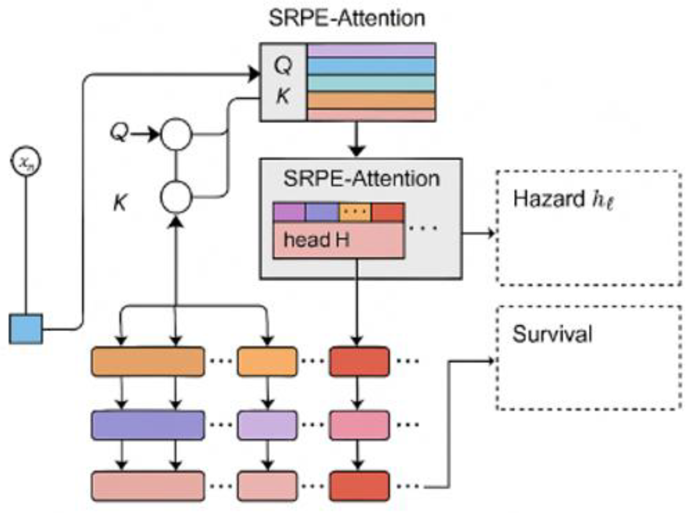 Preprints 156916 g001