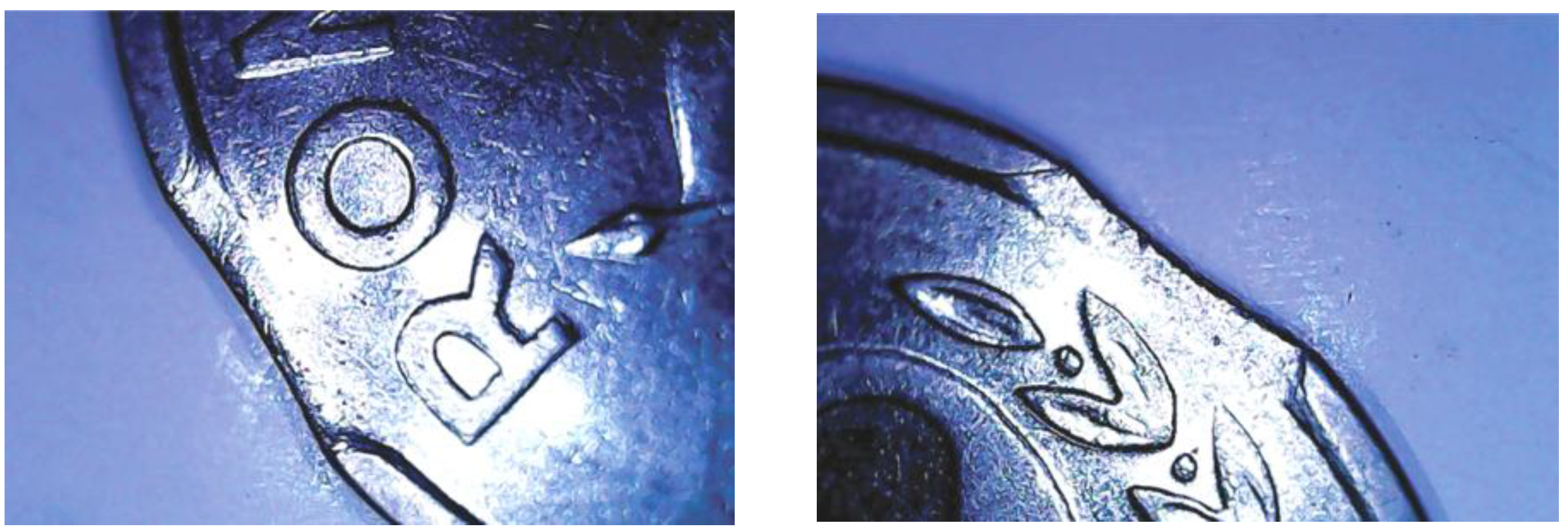 Preprints 162650 g016