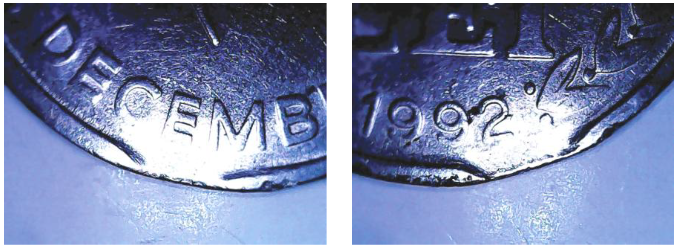 Preprints 162650 g019