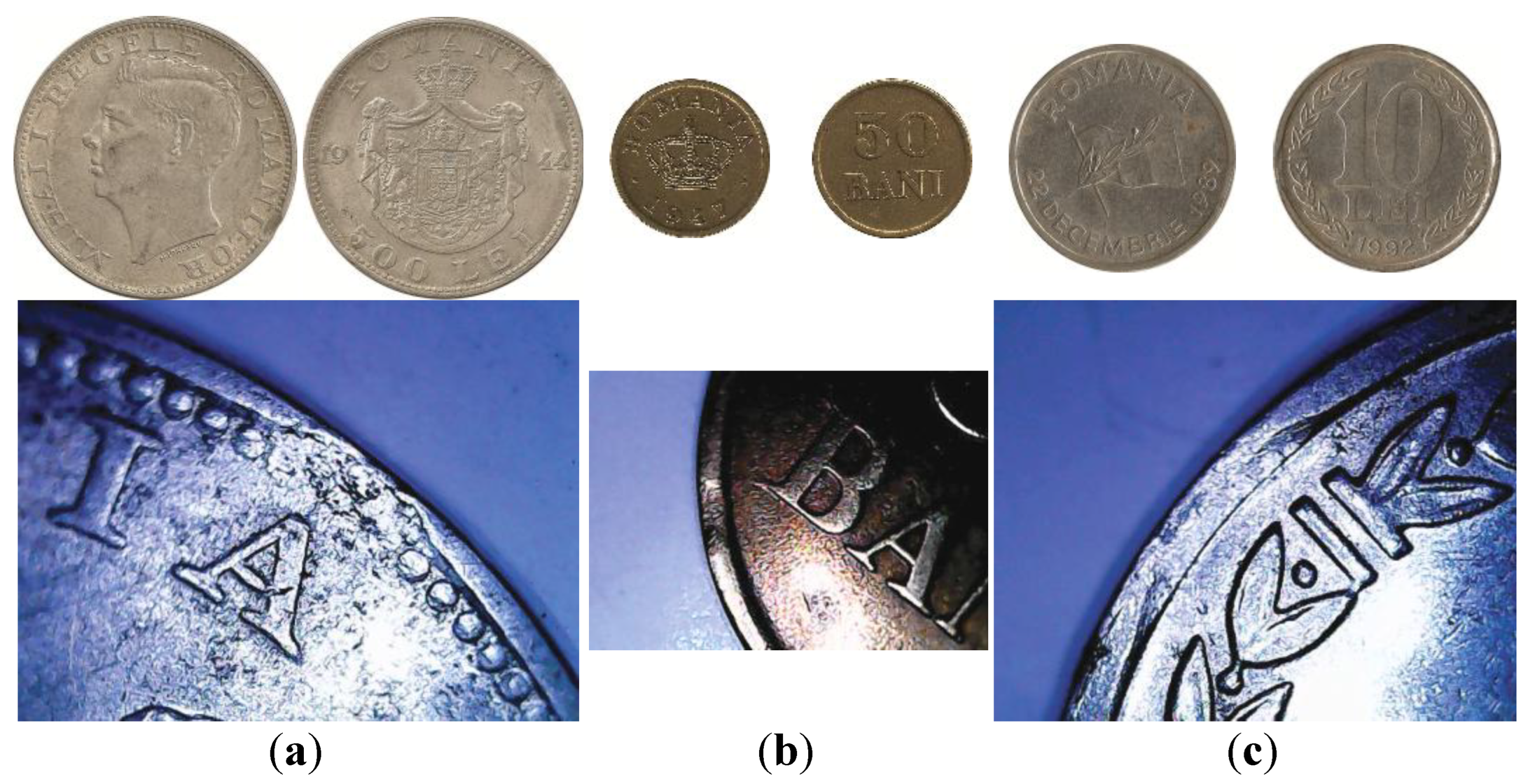 Preprints 162650 g020