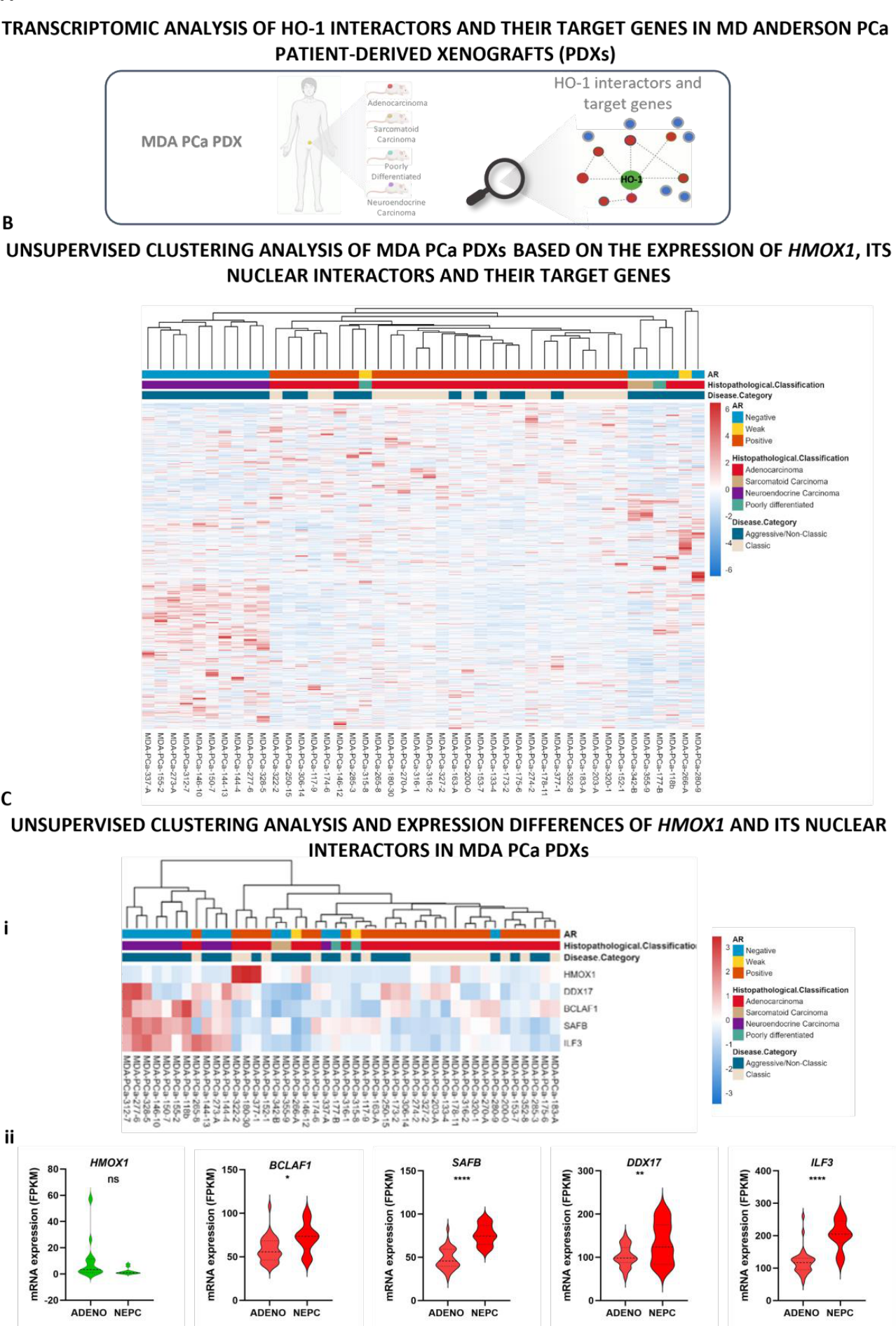 Preprints 215704 g002 Preprints 215704 g002