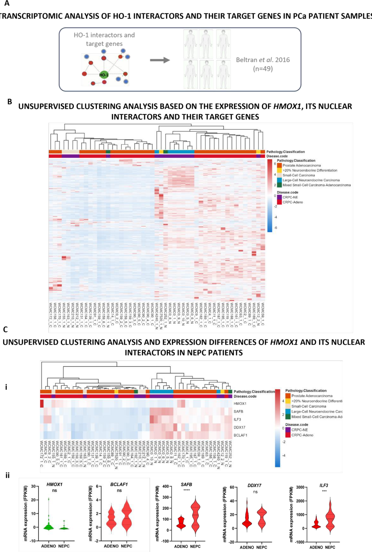 Preprints 215704 g003 Preprints 215704 g003