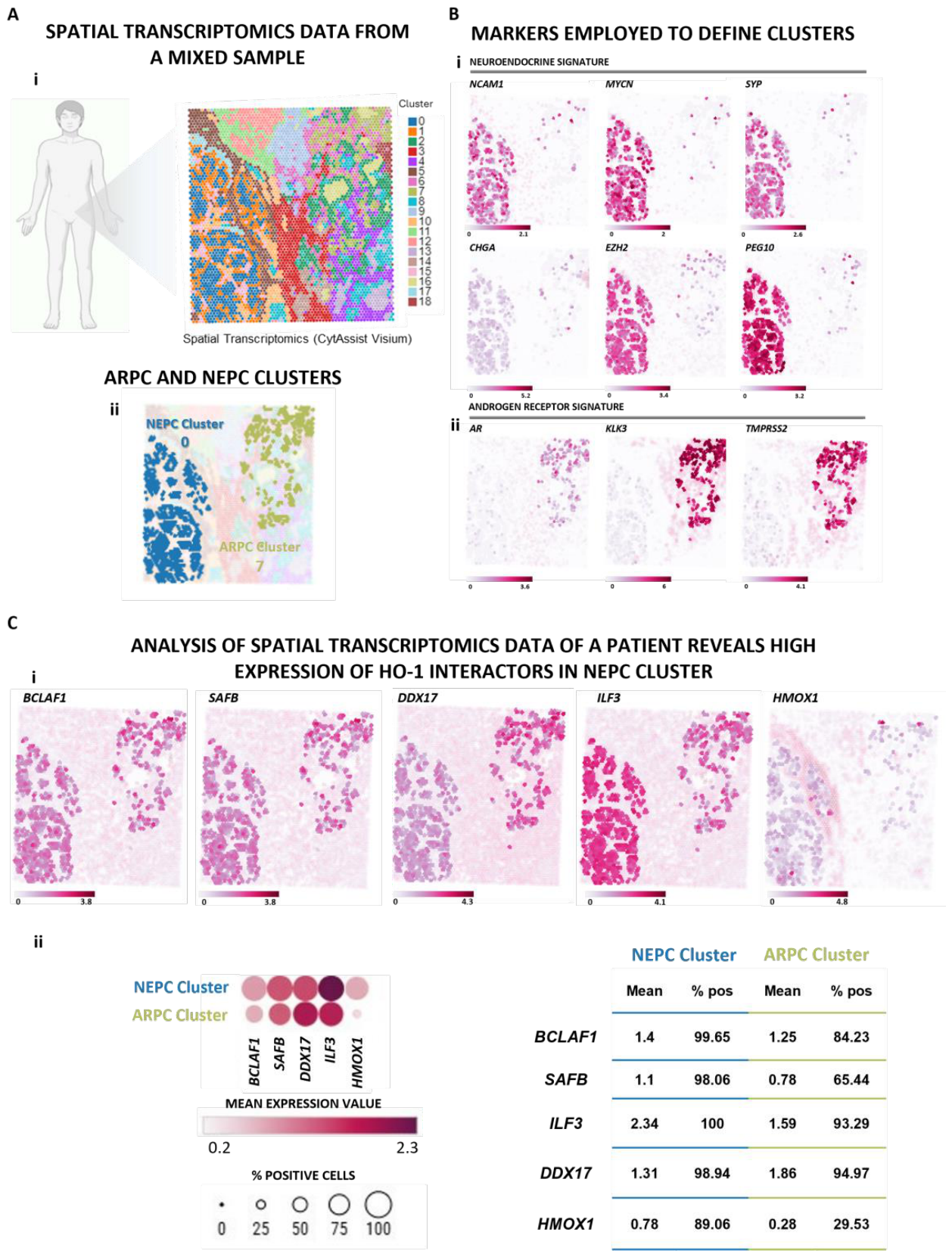 Preprints 215704 g004 Preprints 215704 g004